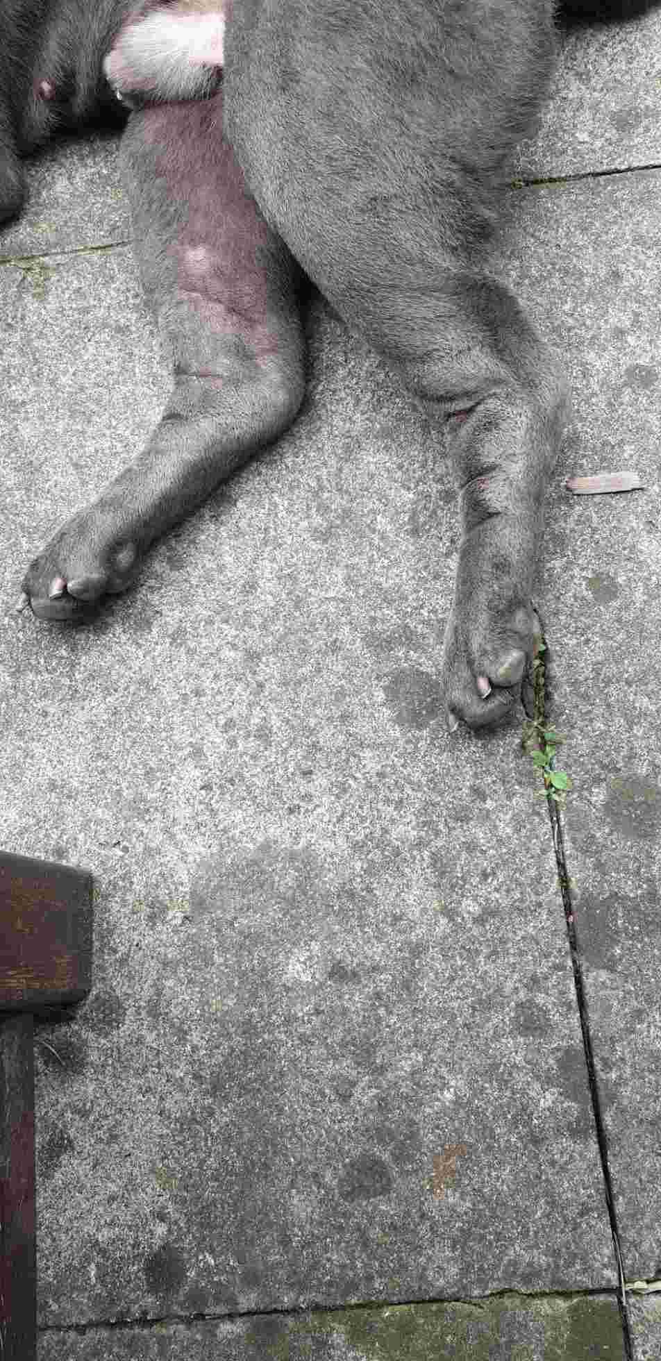 Question details sensitive content