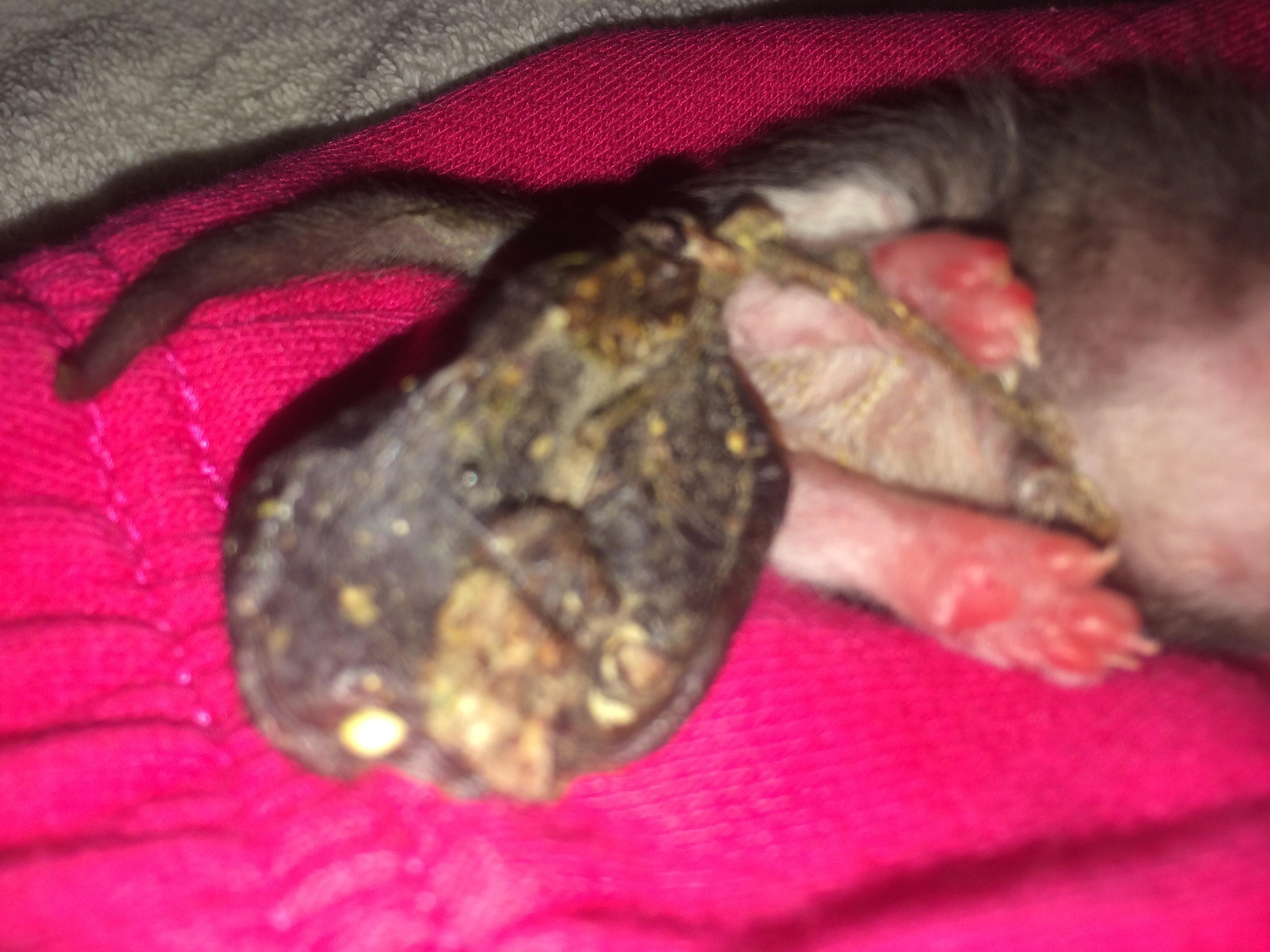 Question details sensitive content