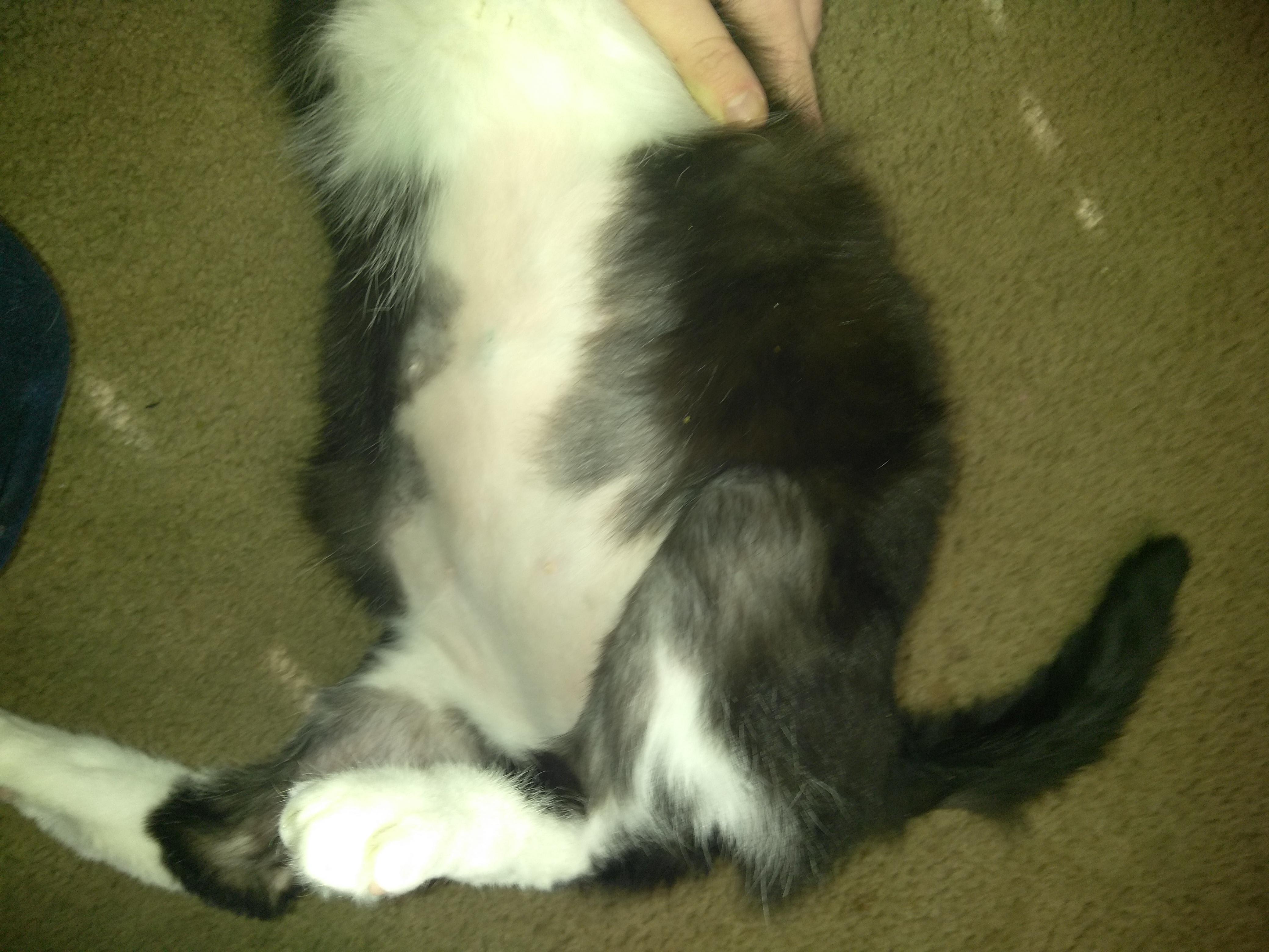 Question details sensitive content