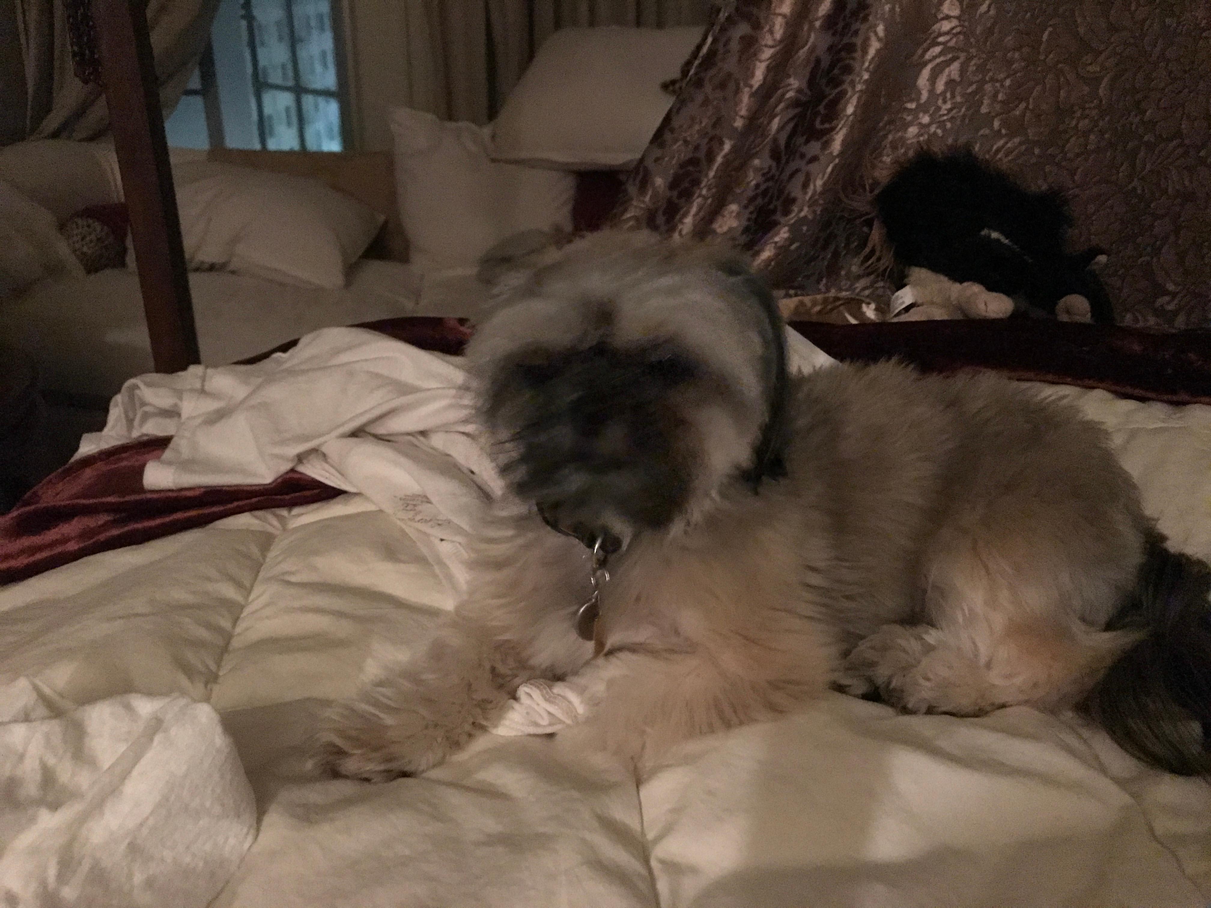 Question details sensitive content