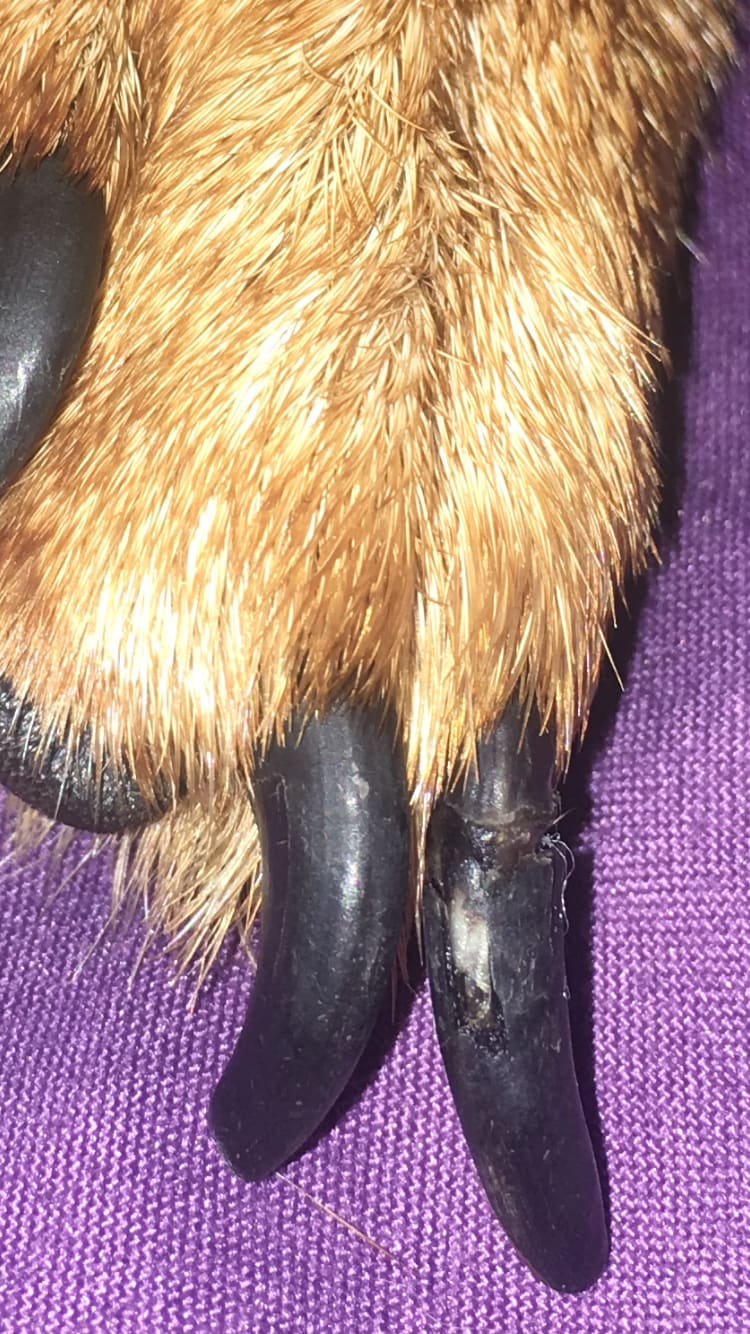 Question details sensitive content