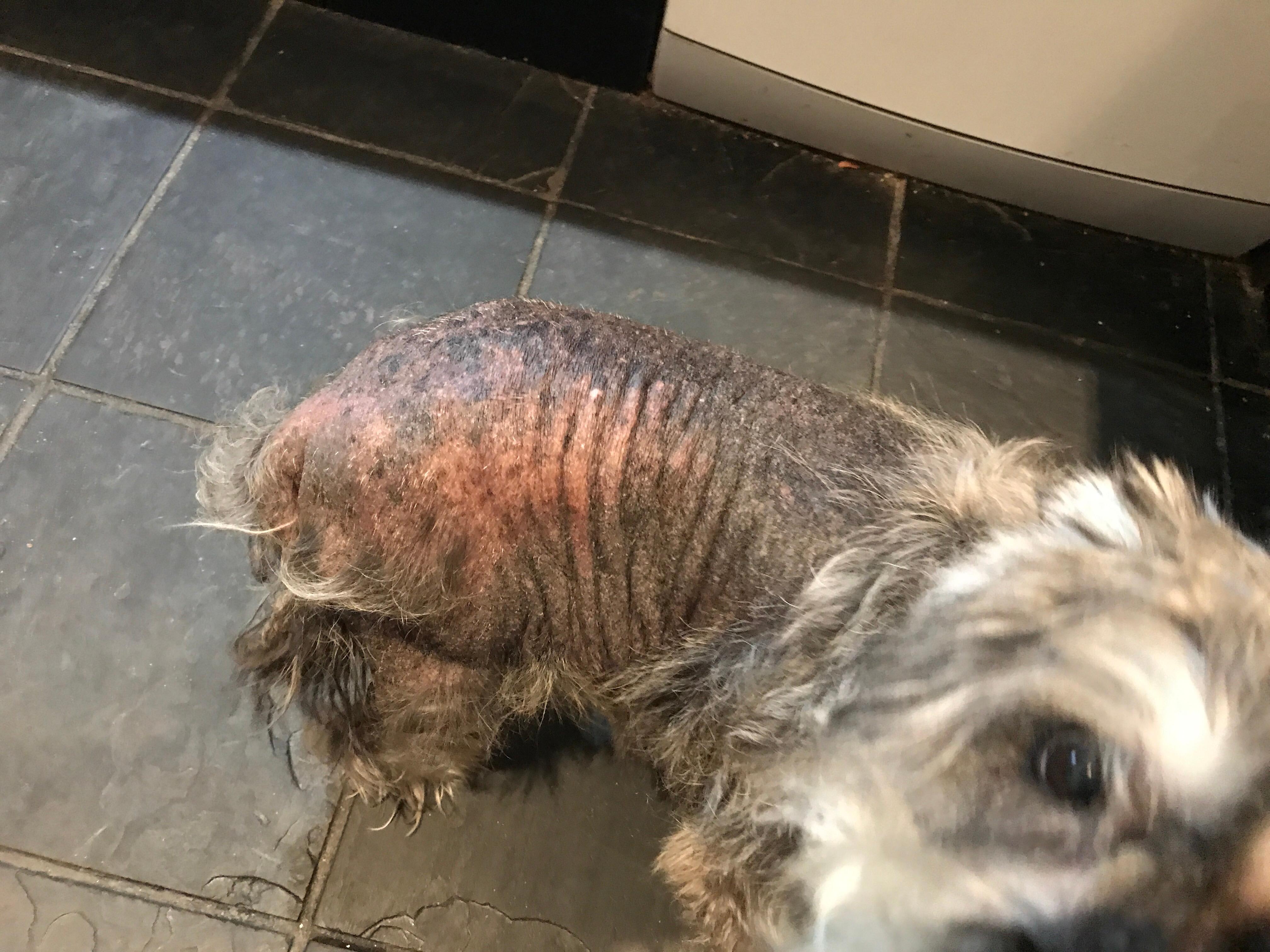 Question details sensitive content