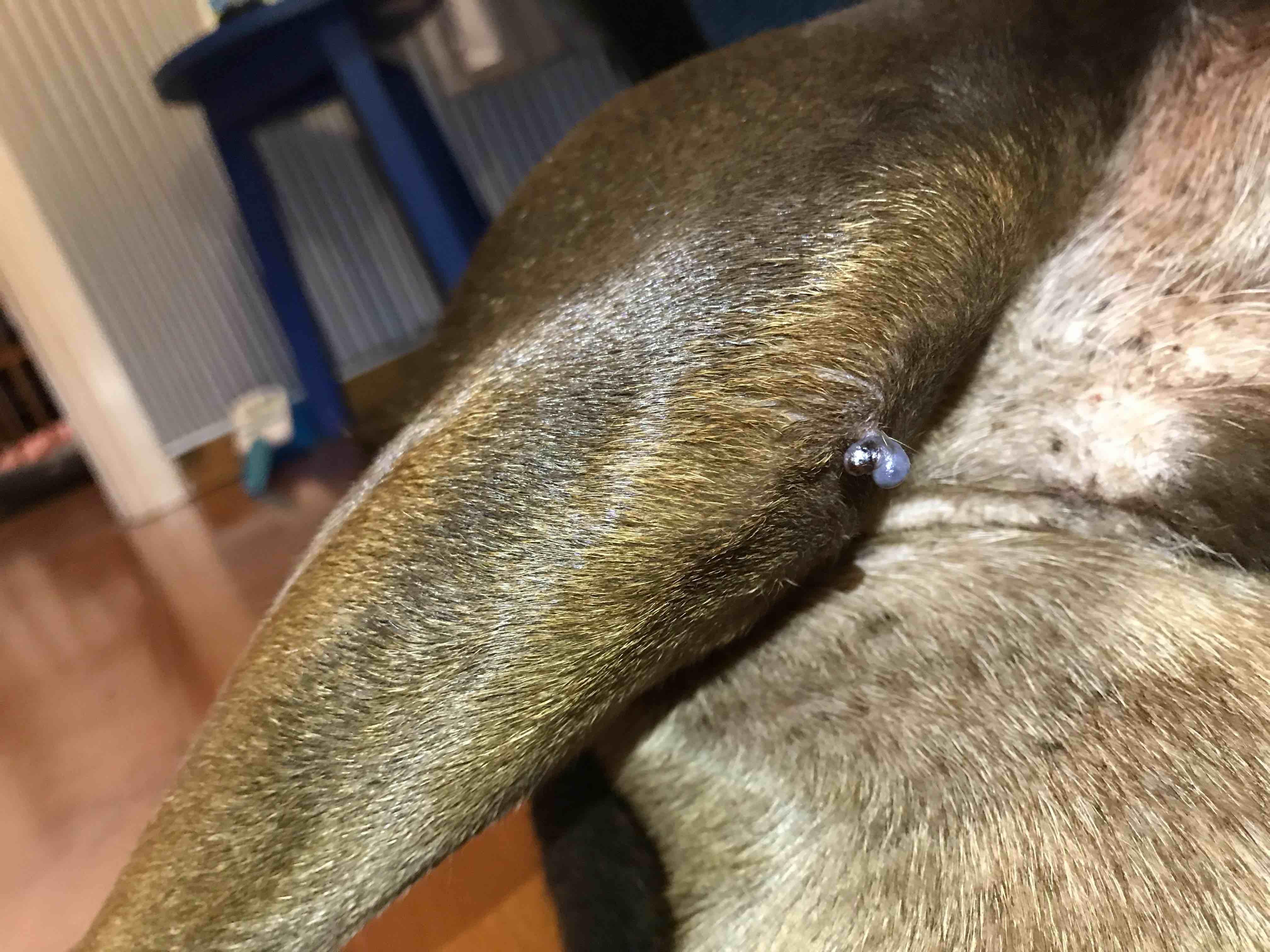 Question details sensitive content