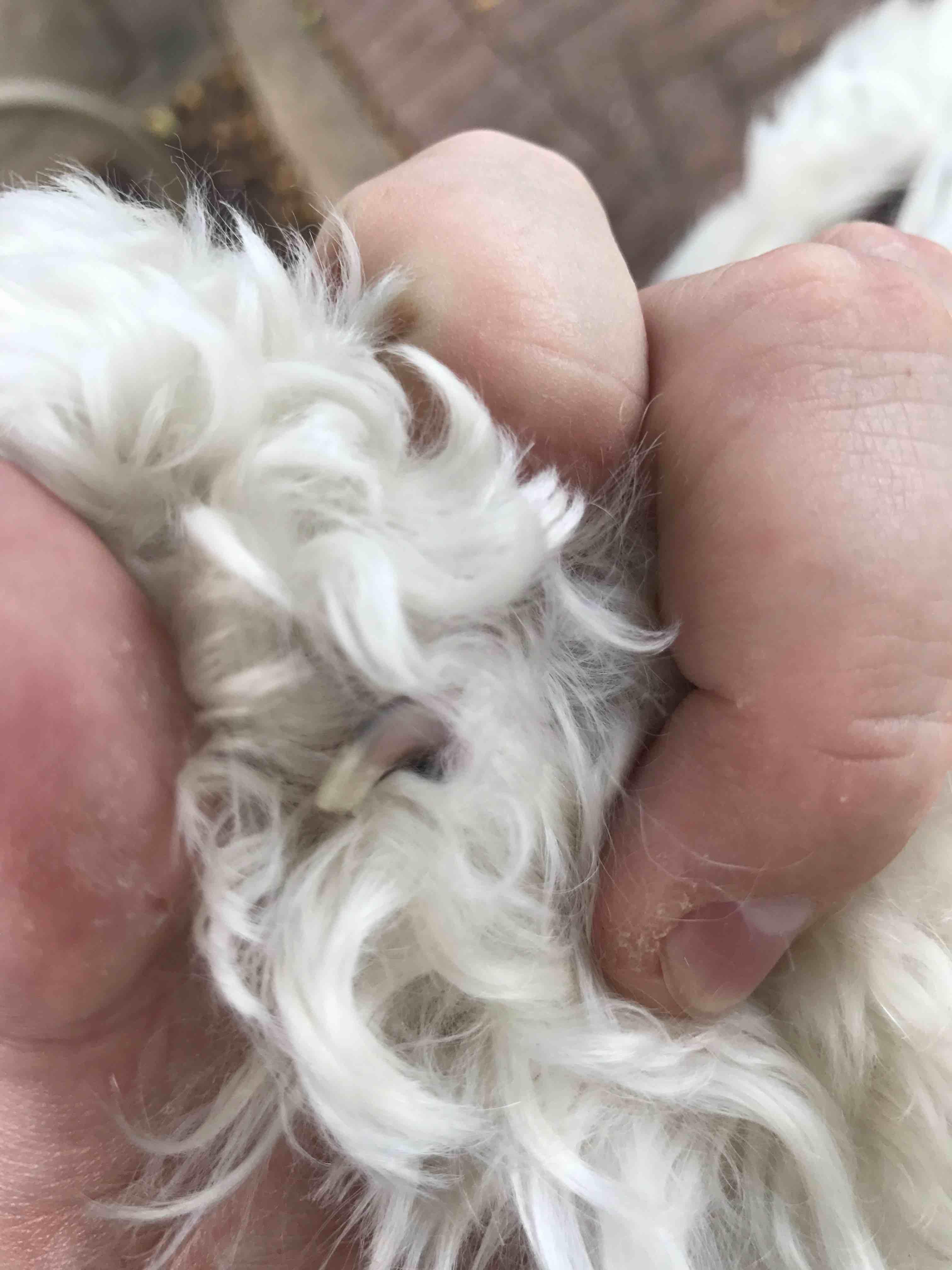 Question details sensitive content