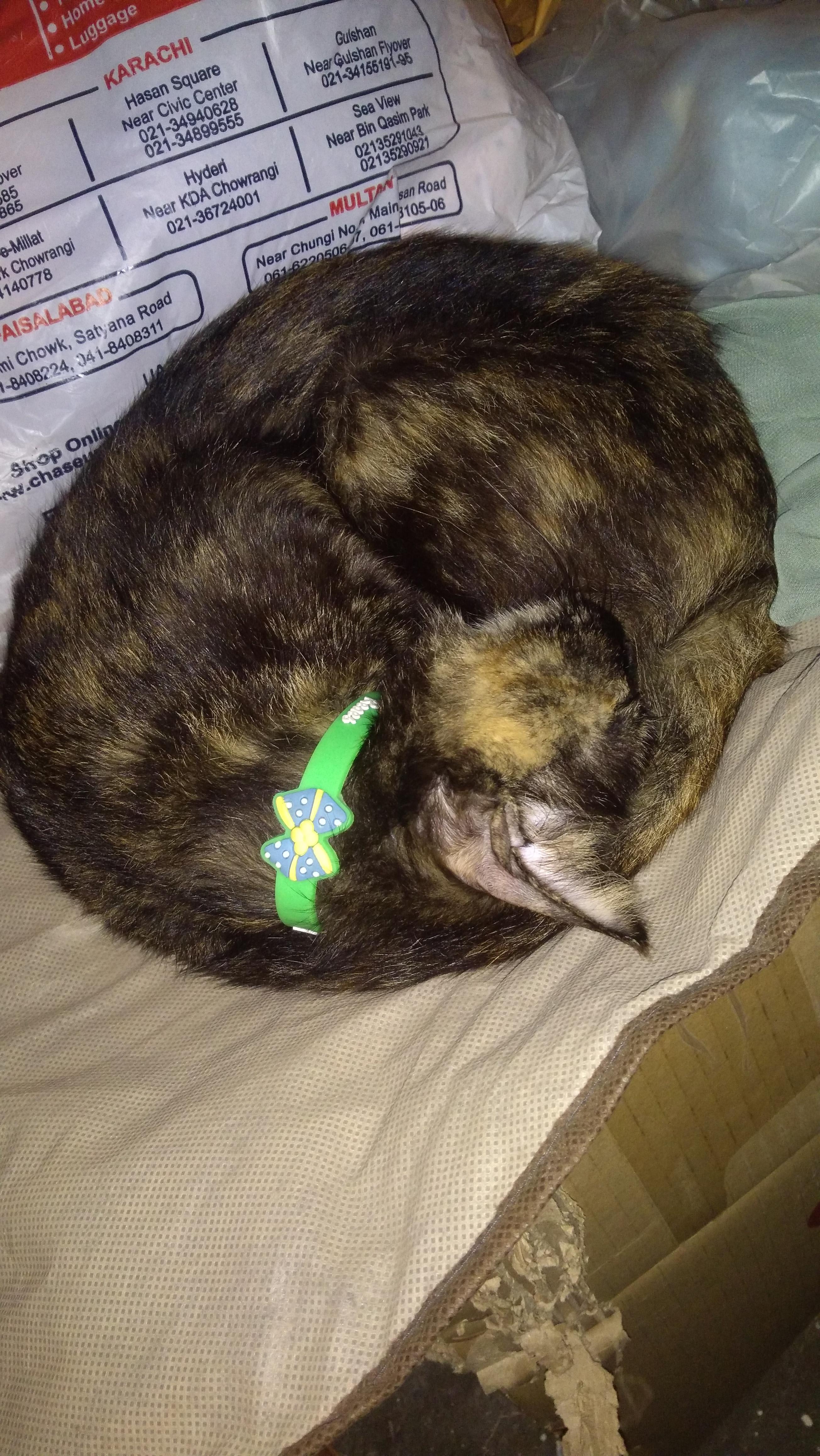 Question details sensitive content