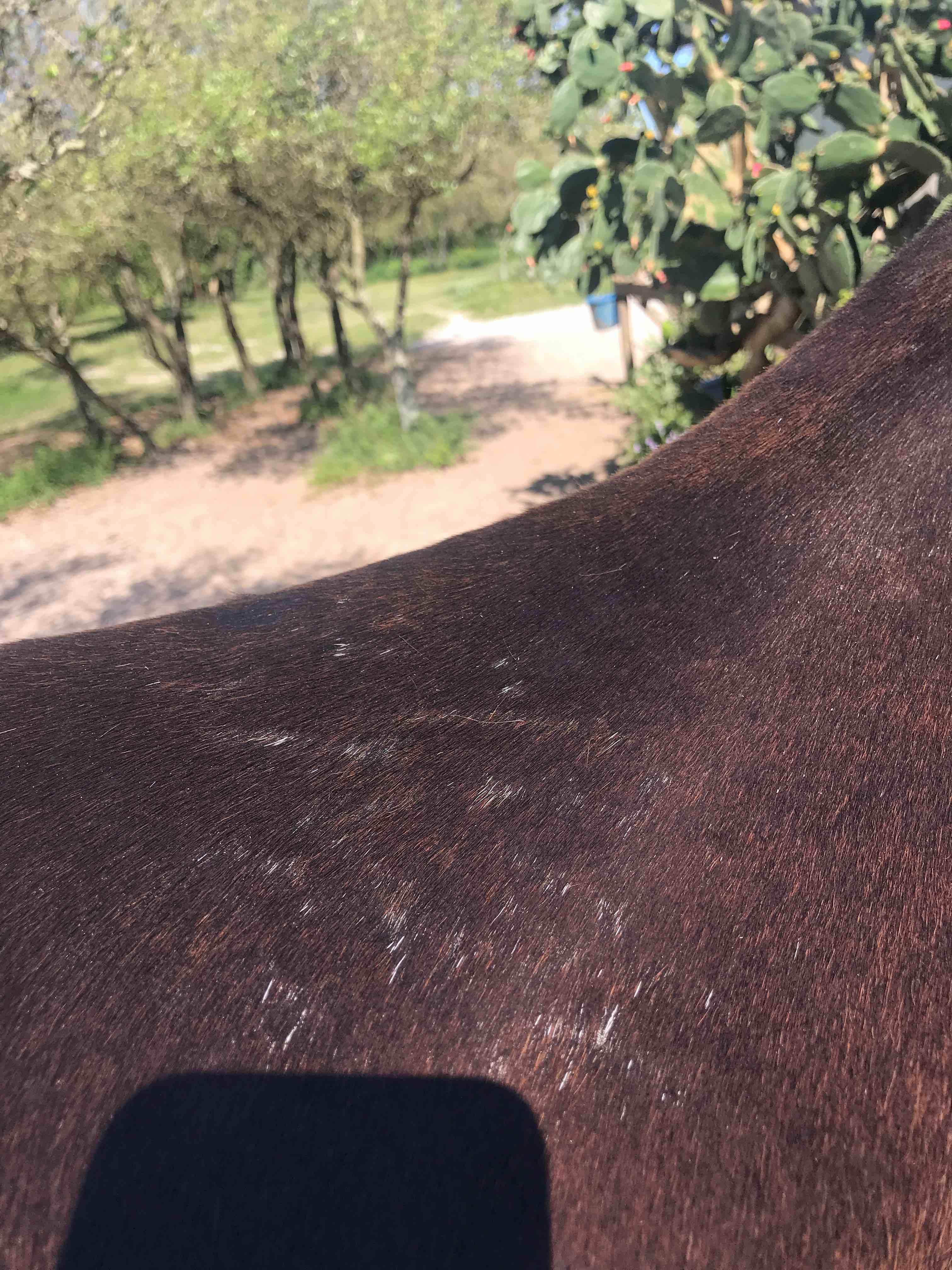 Question details sensitive content