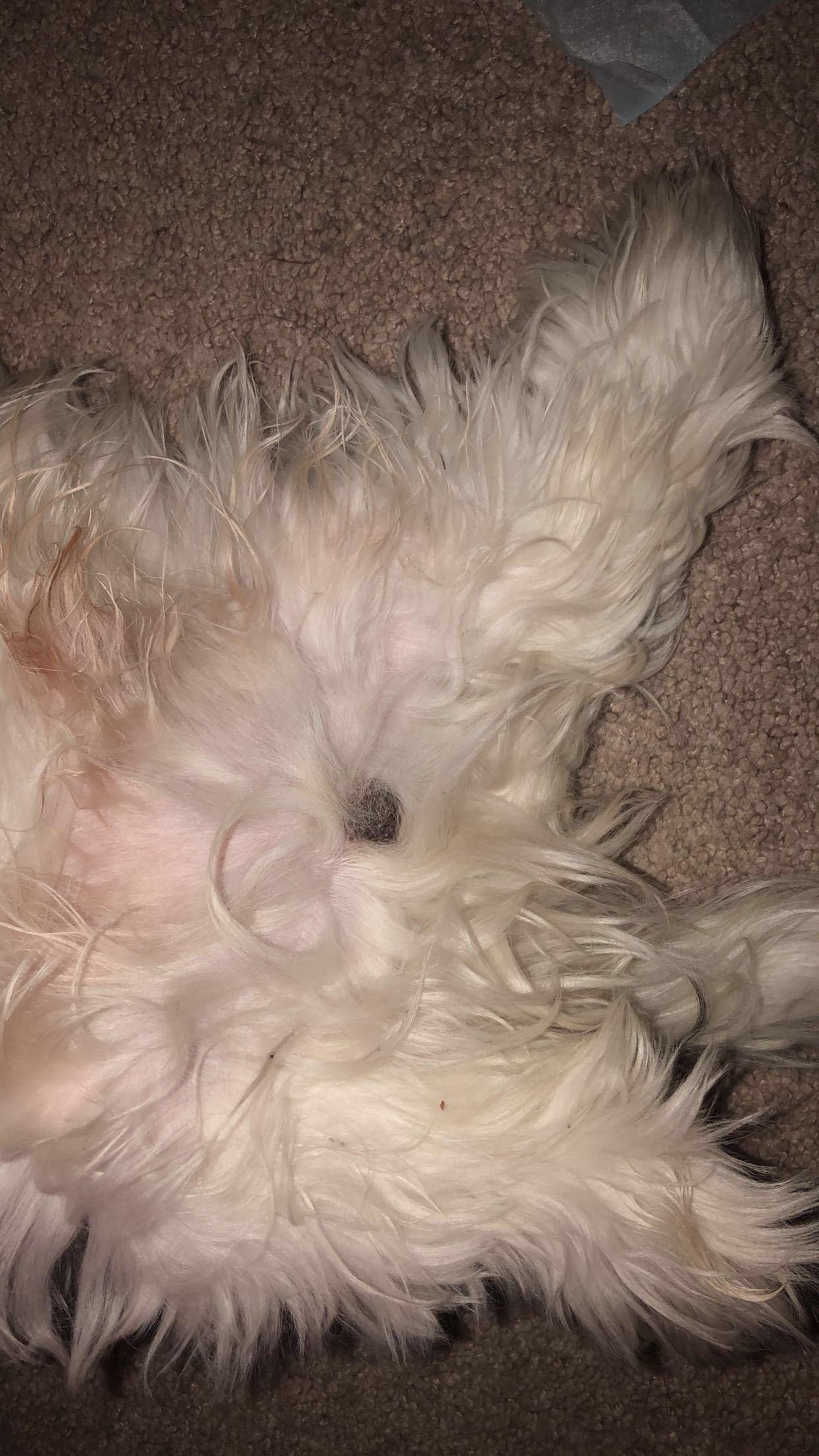 Question details sensitive content