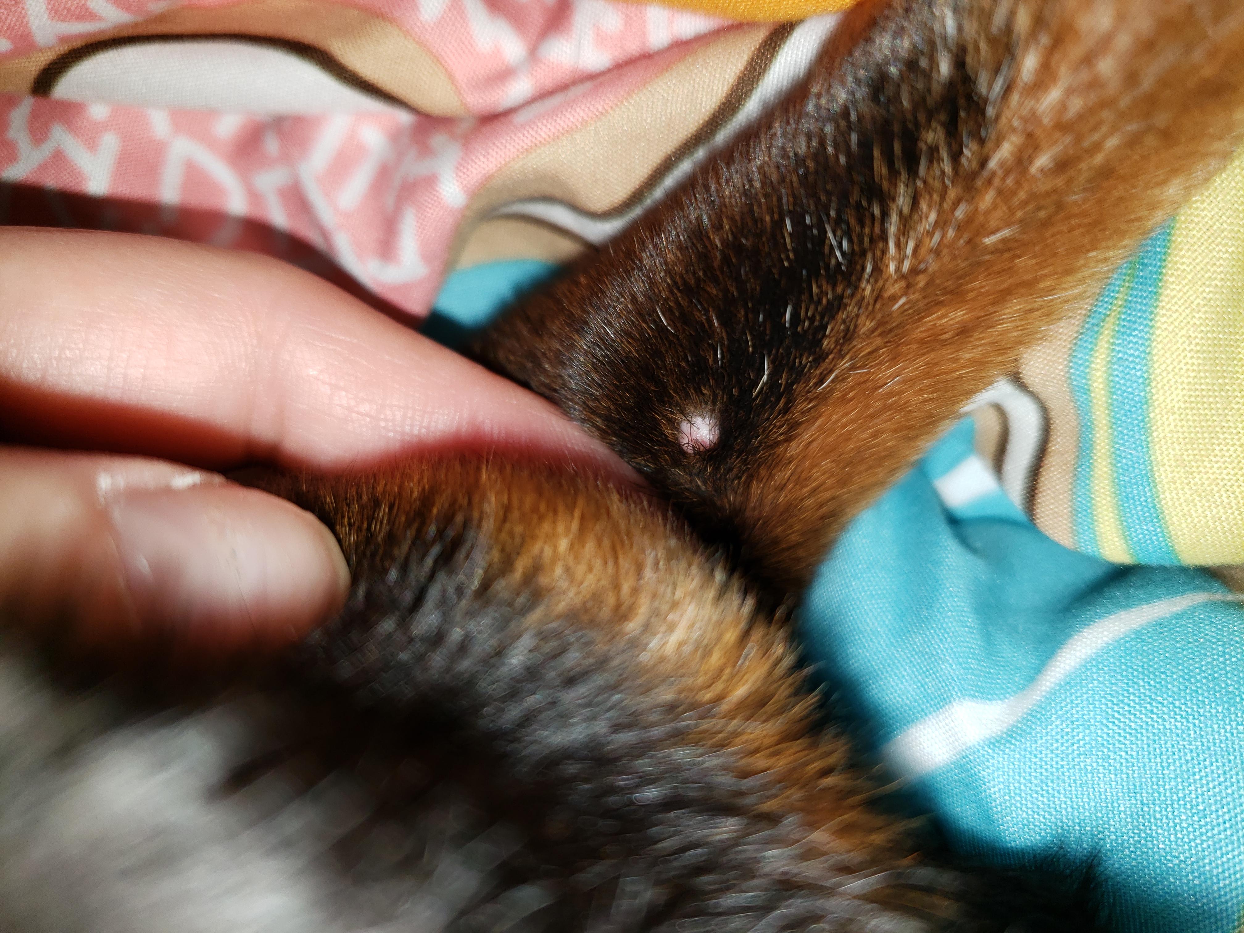 Question details sensitive content