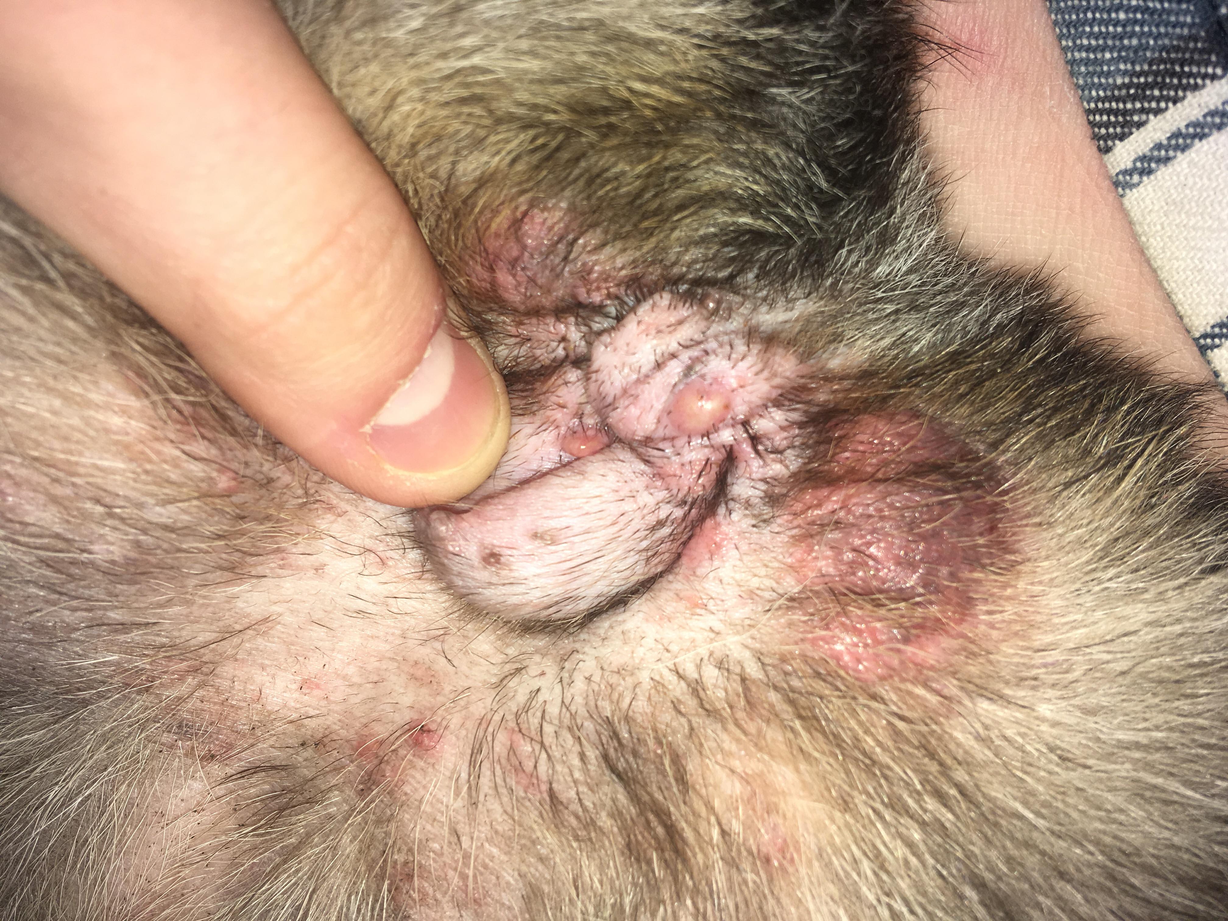 Question details sensitive content