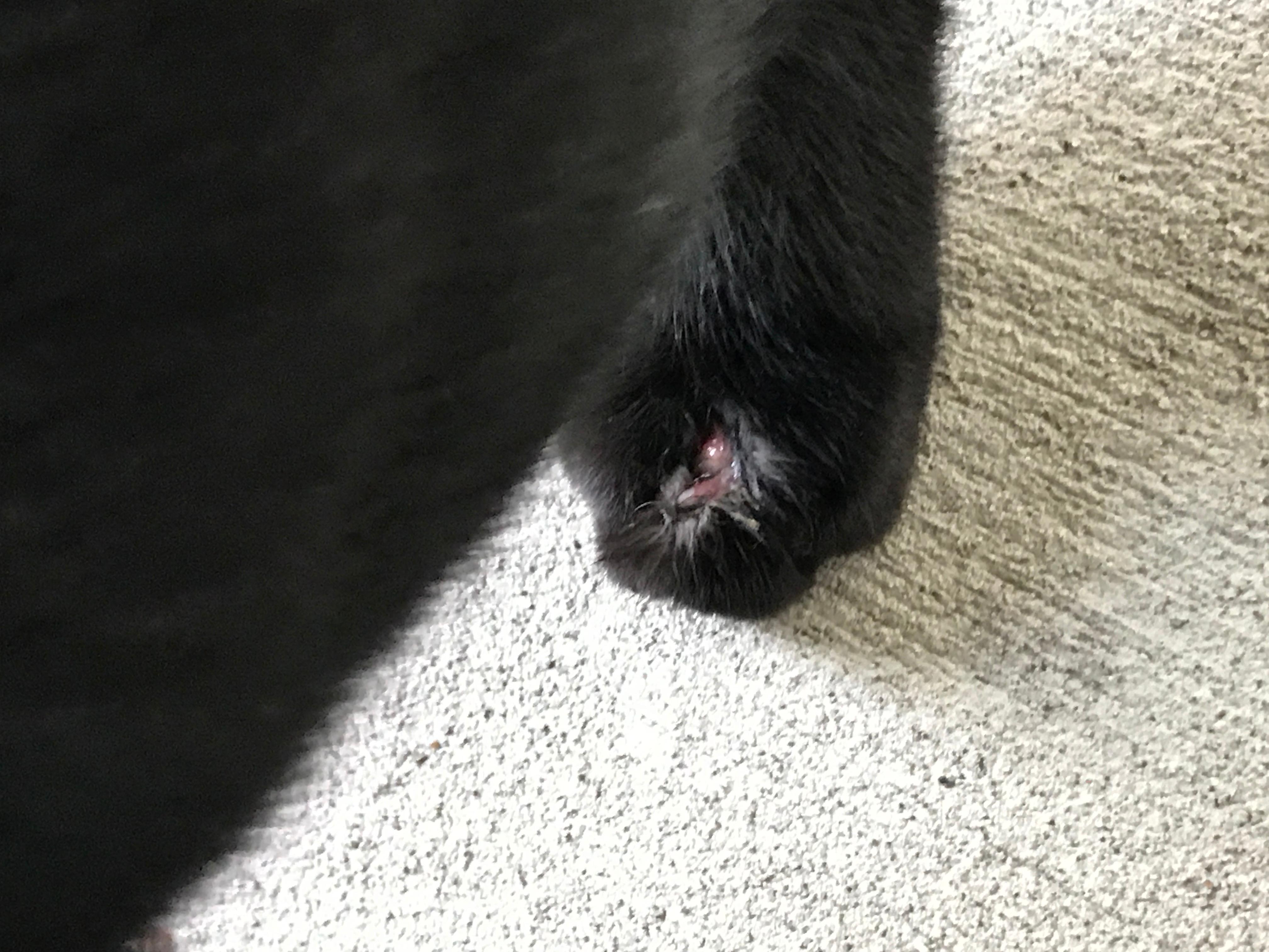 Question details sensitive content