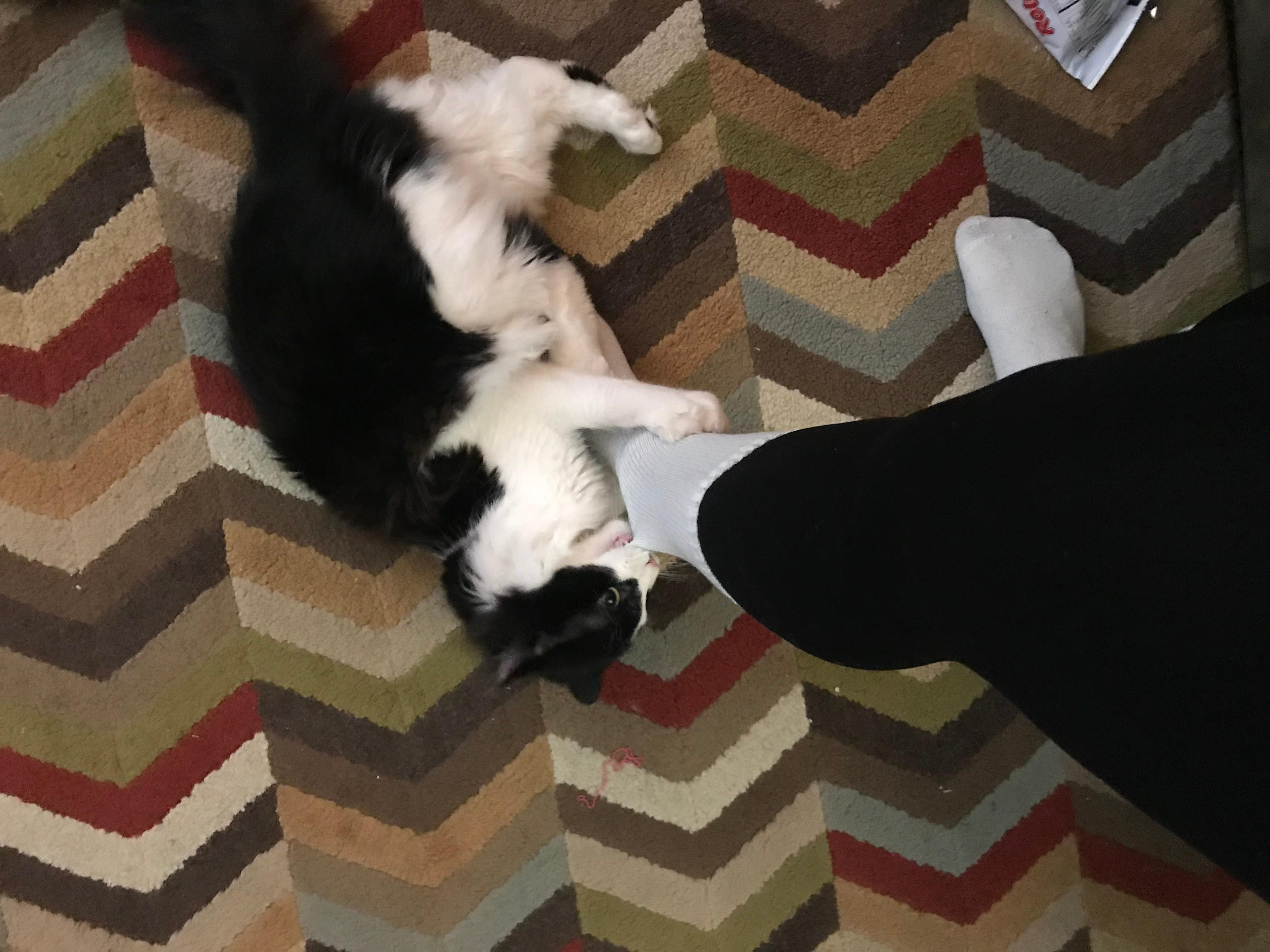 Question details sensitive content