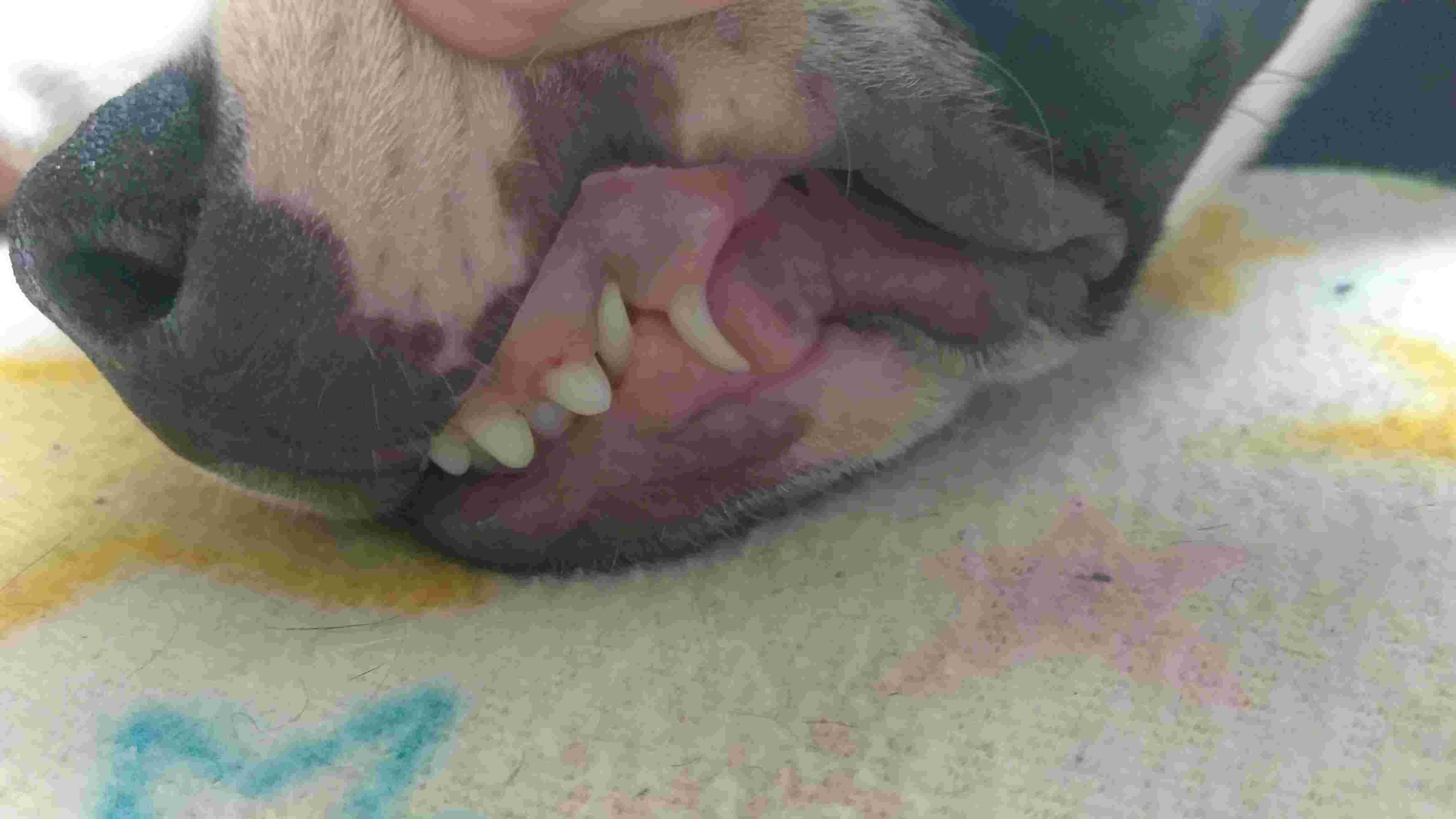 Question details sensitive content