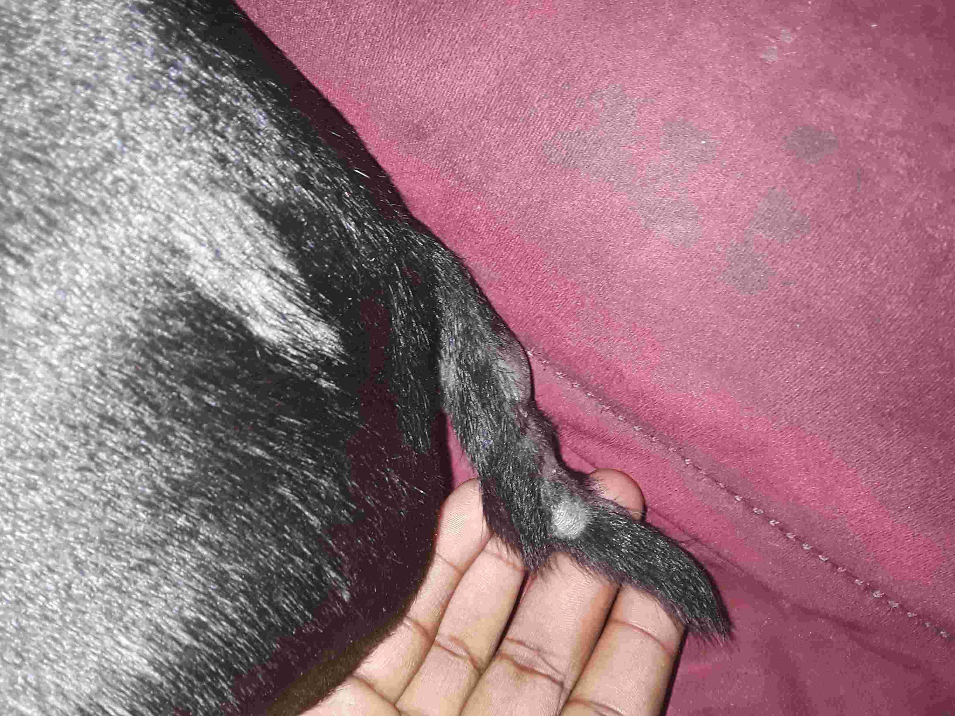 Question details sensitive content