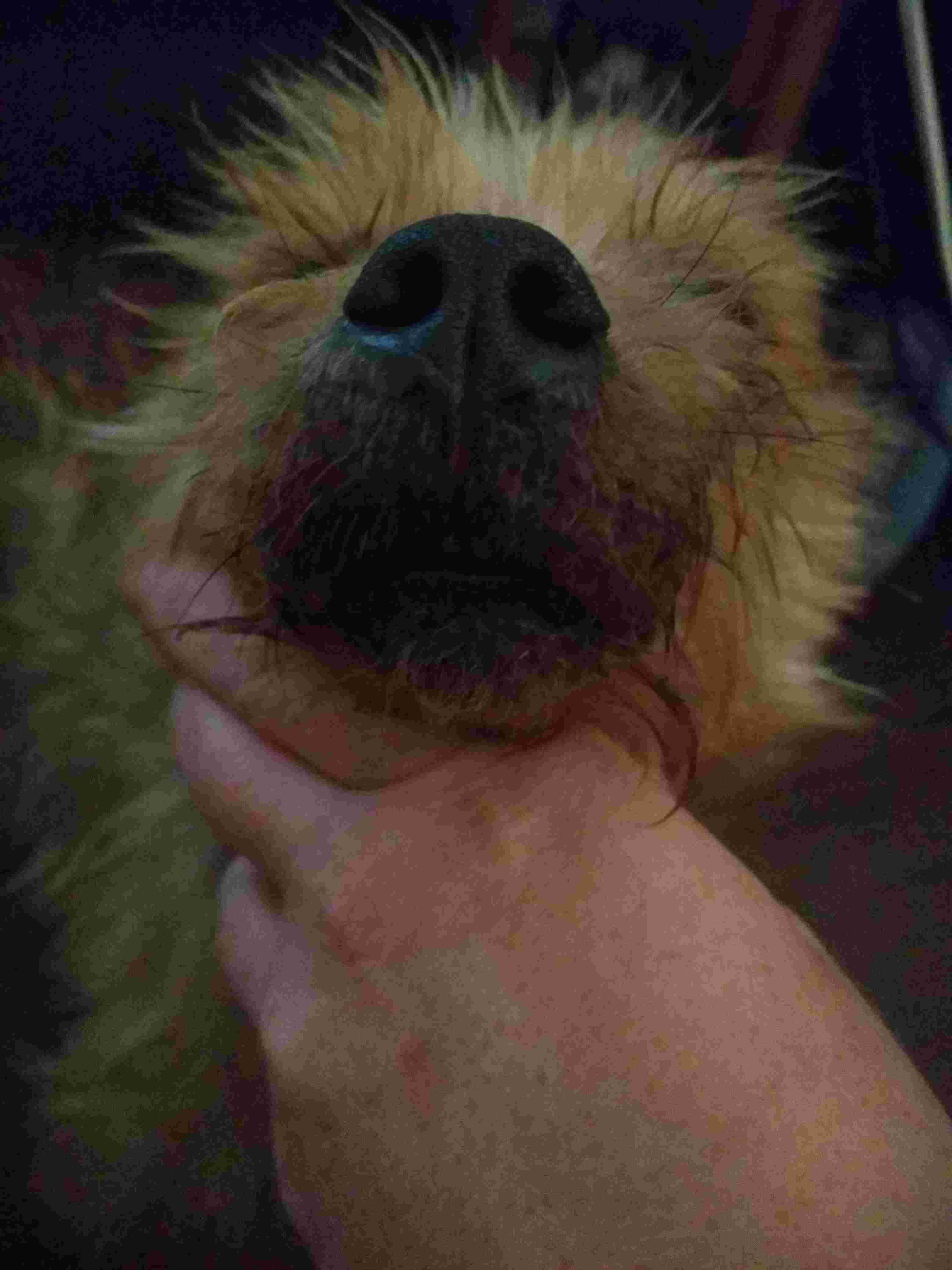 Question details sensitive content