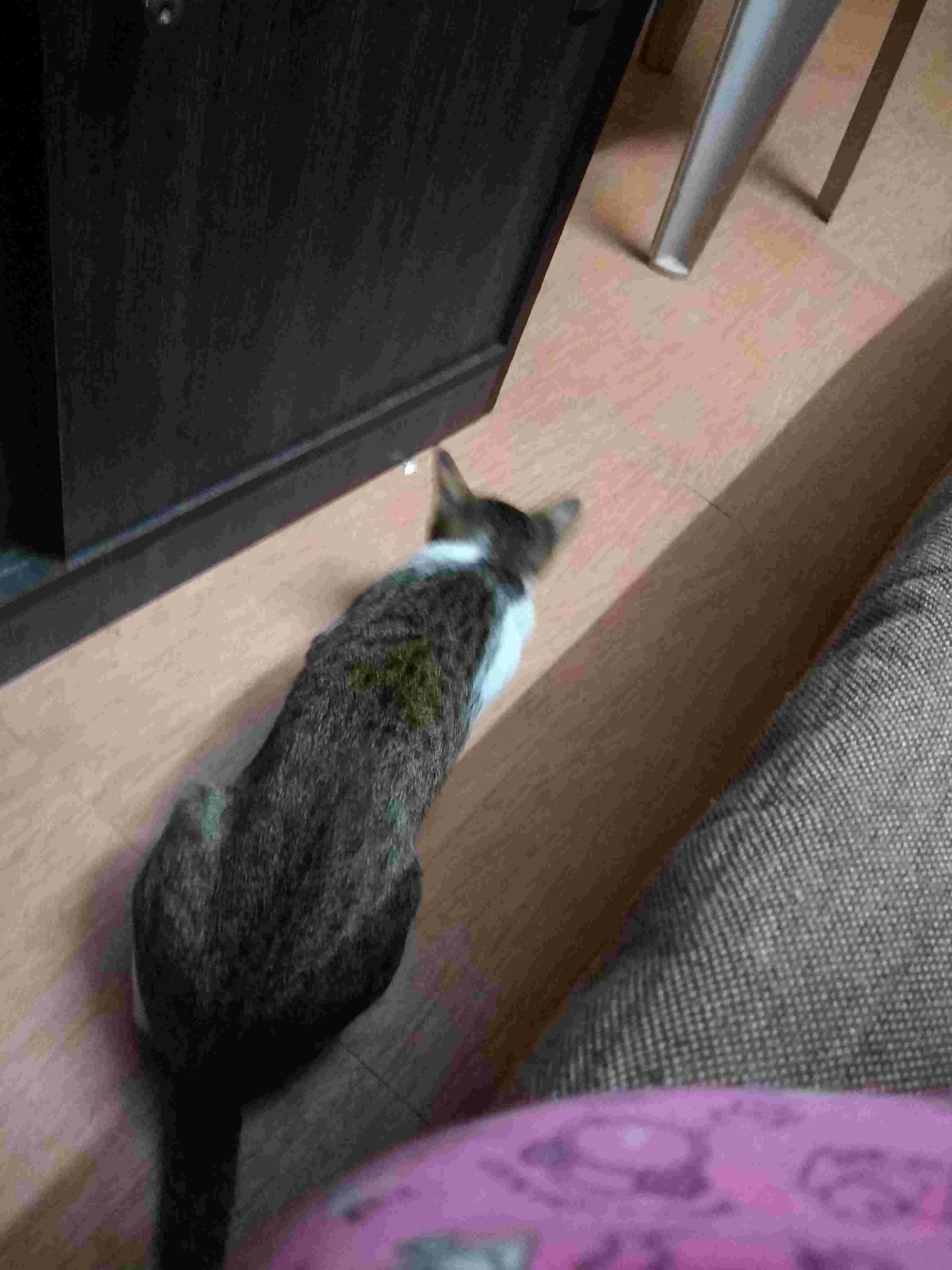 Question details sensitive content