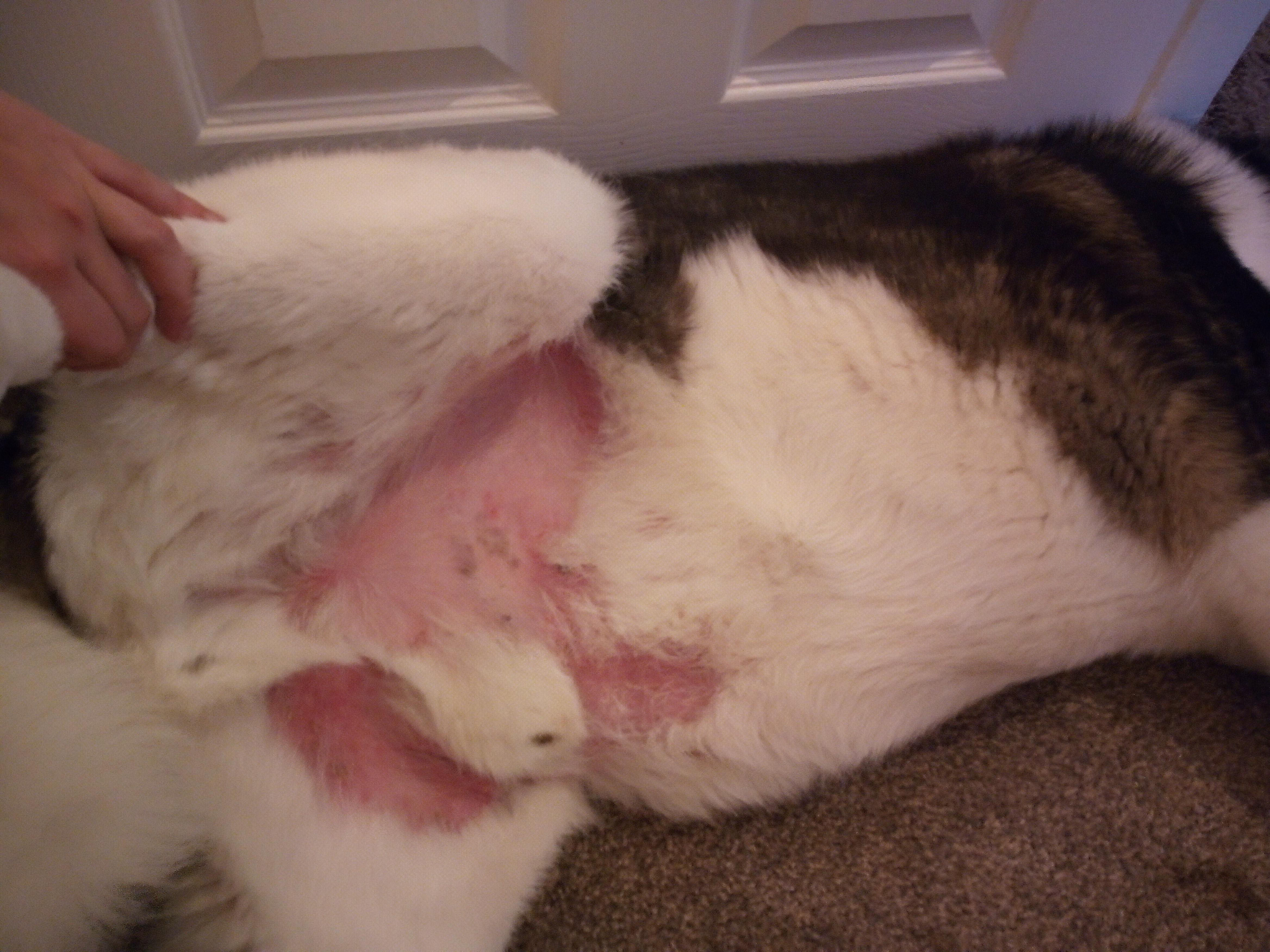 Question details sensitive content