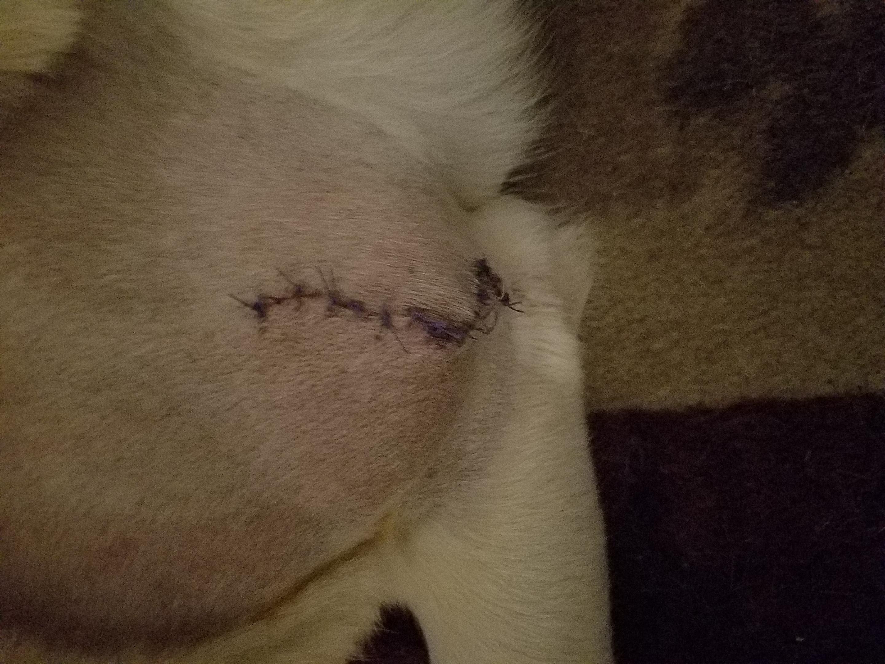 Question details sensitive content