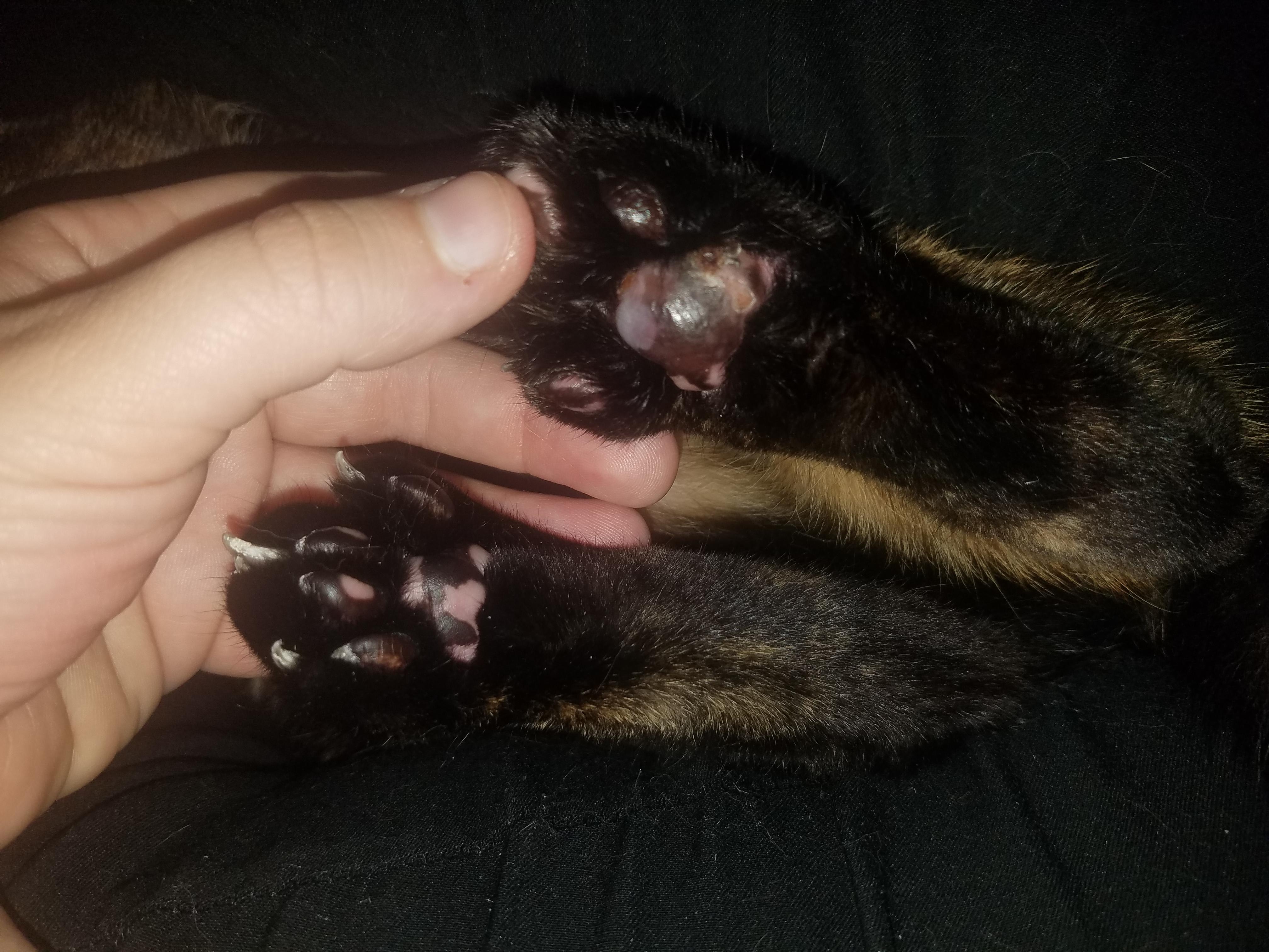 Question details sensitive content