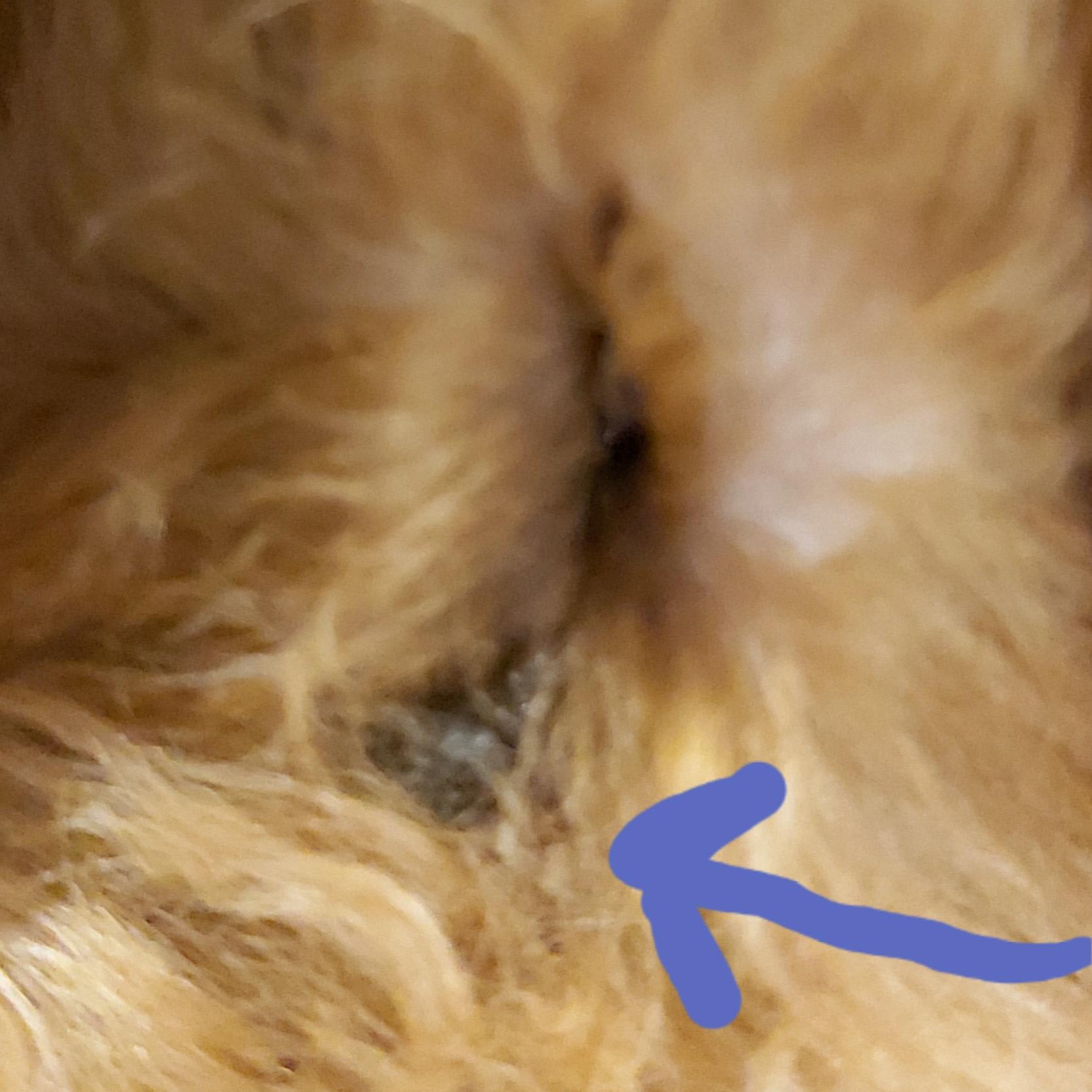 Question details sensitive content