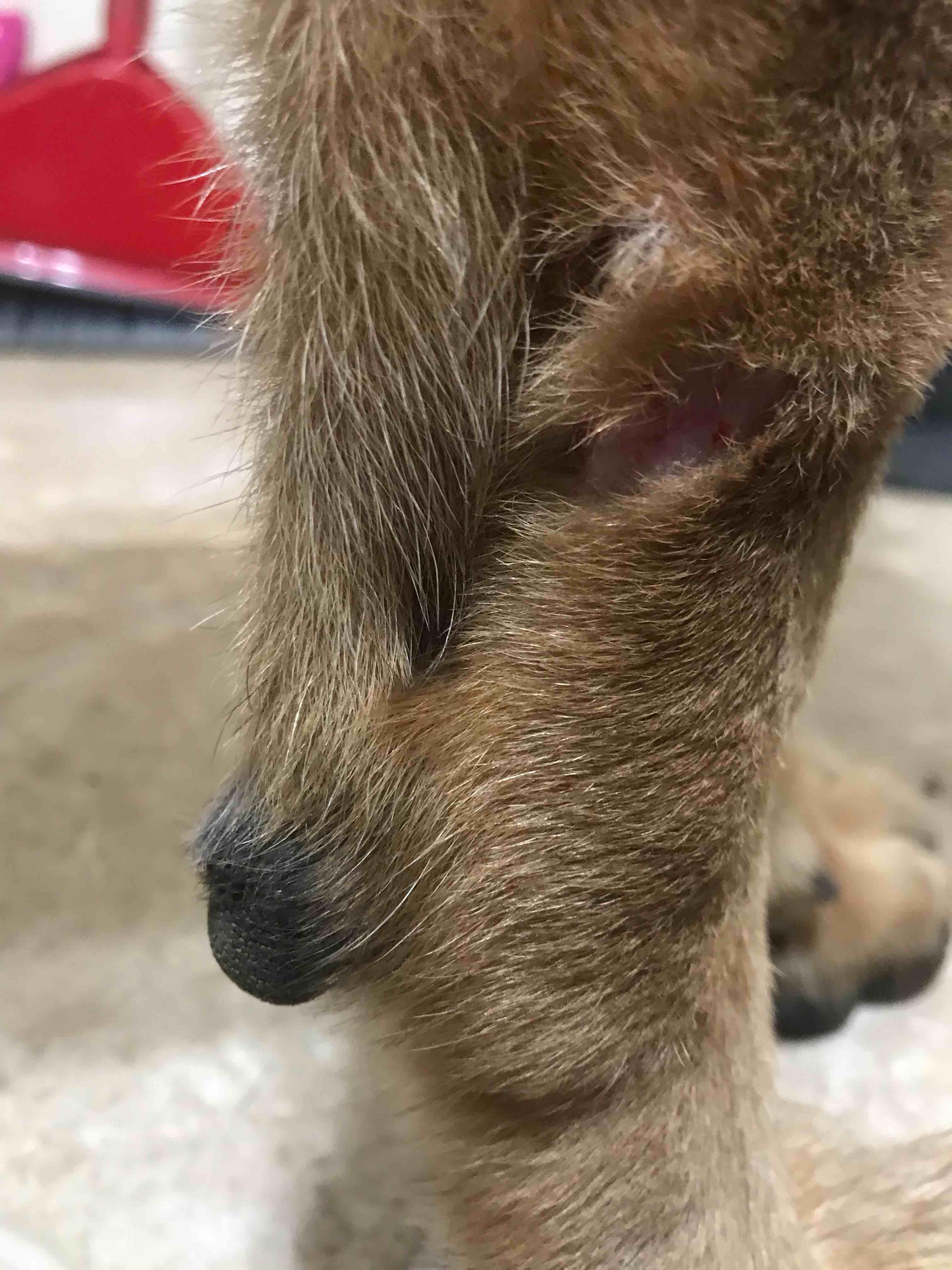 Question details sensitive content