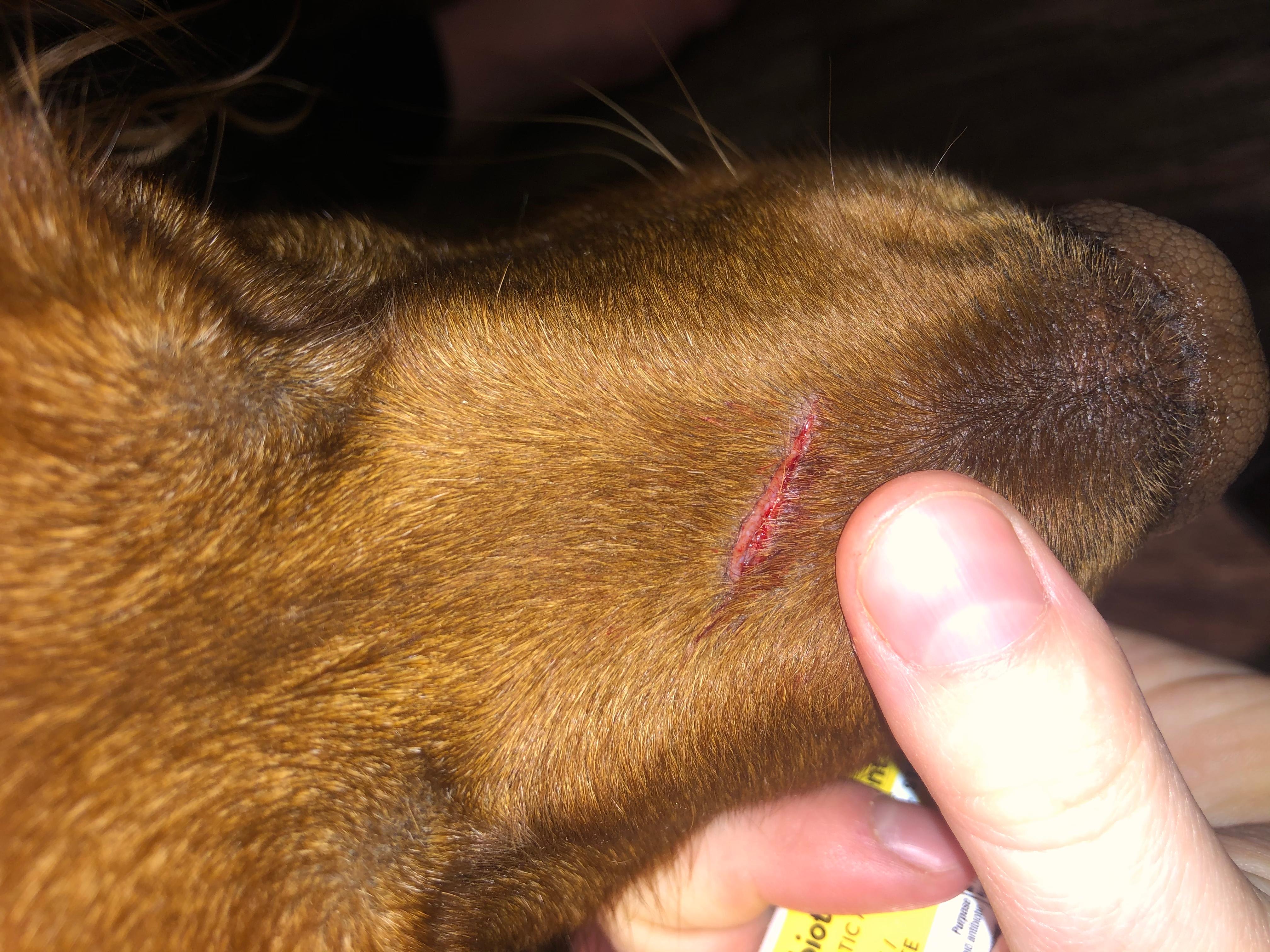 Question details sensitive content