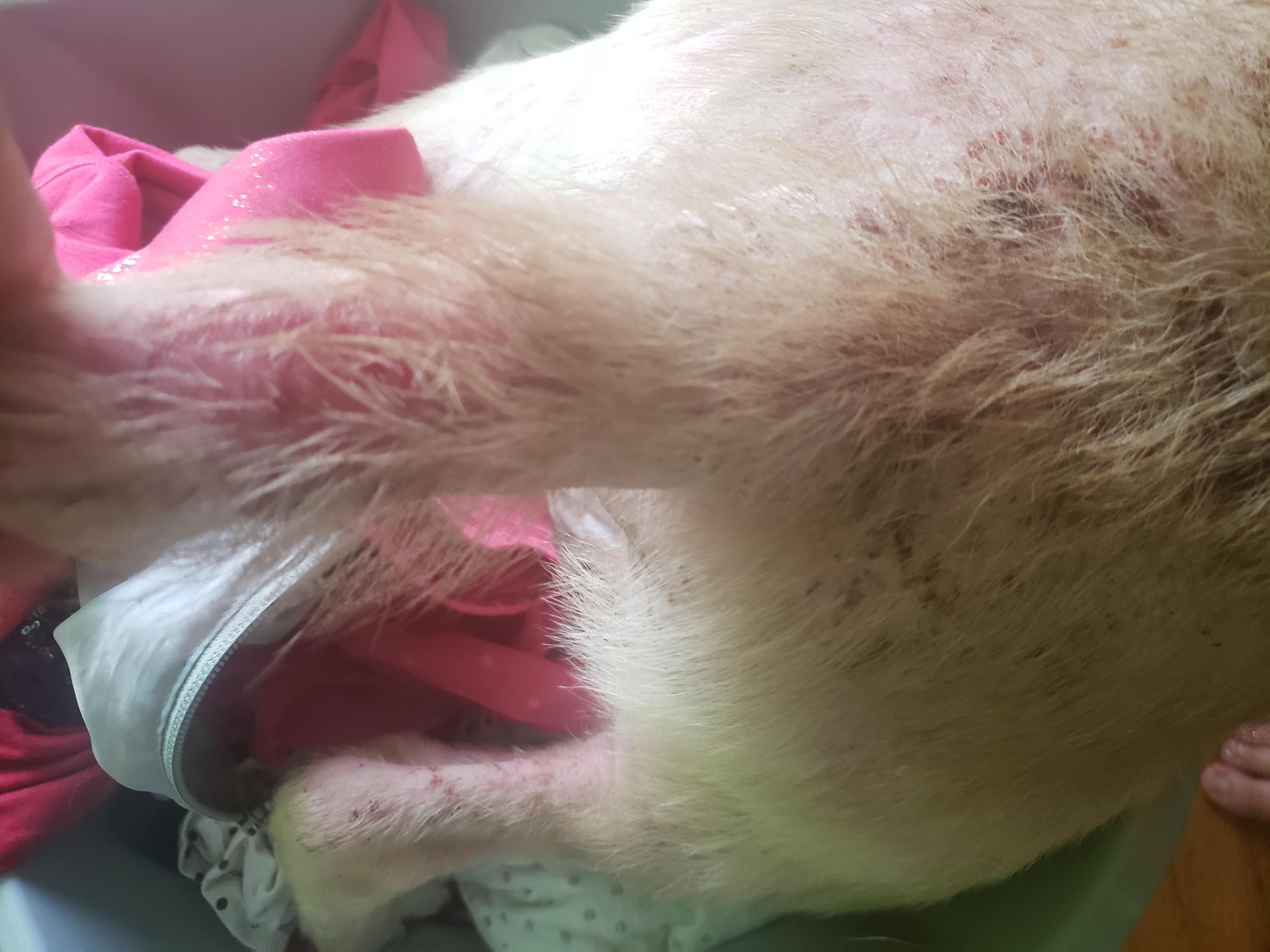 Question details sensitive content