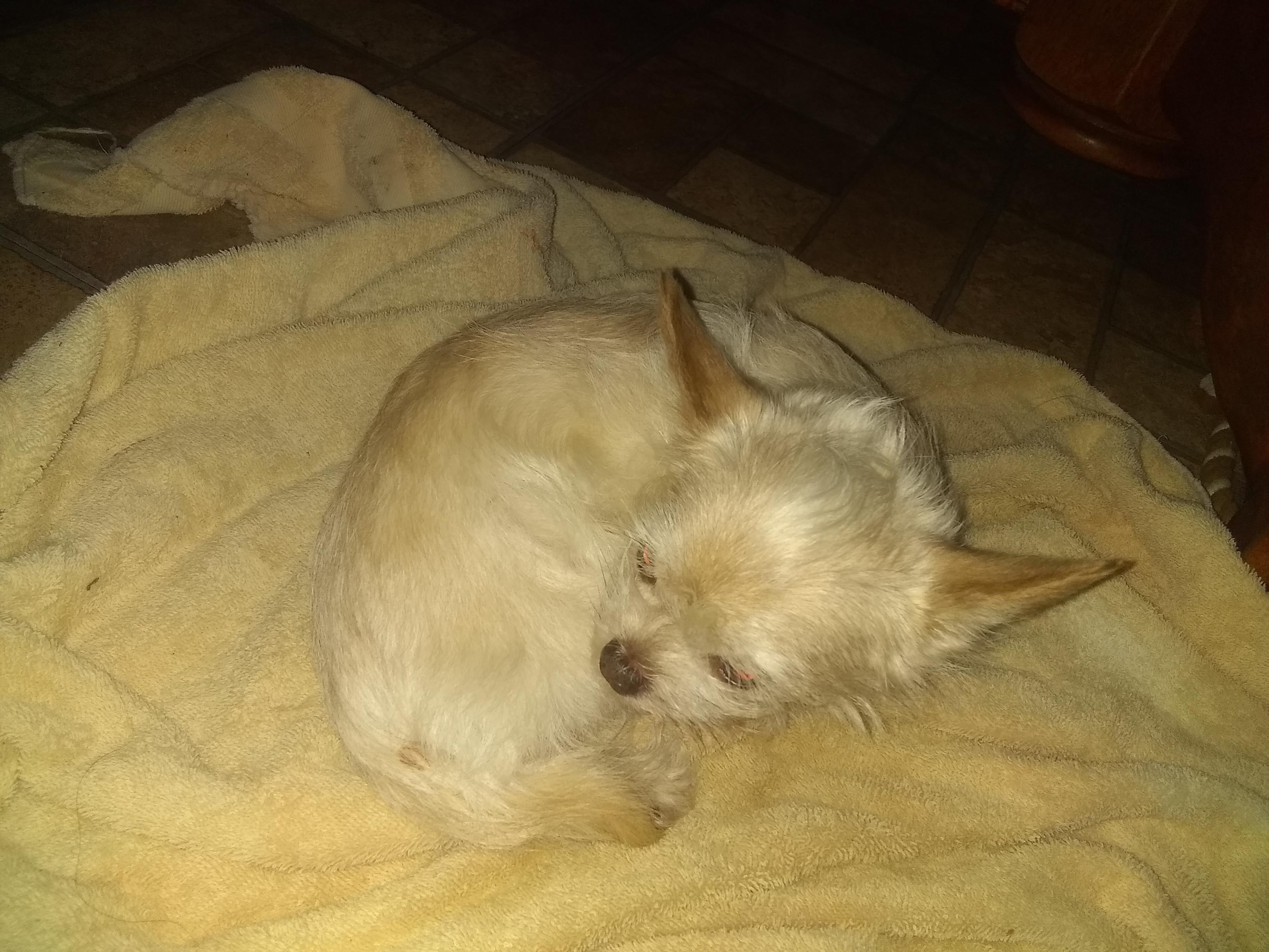 Question details sensitive content