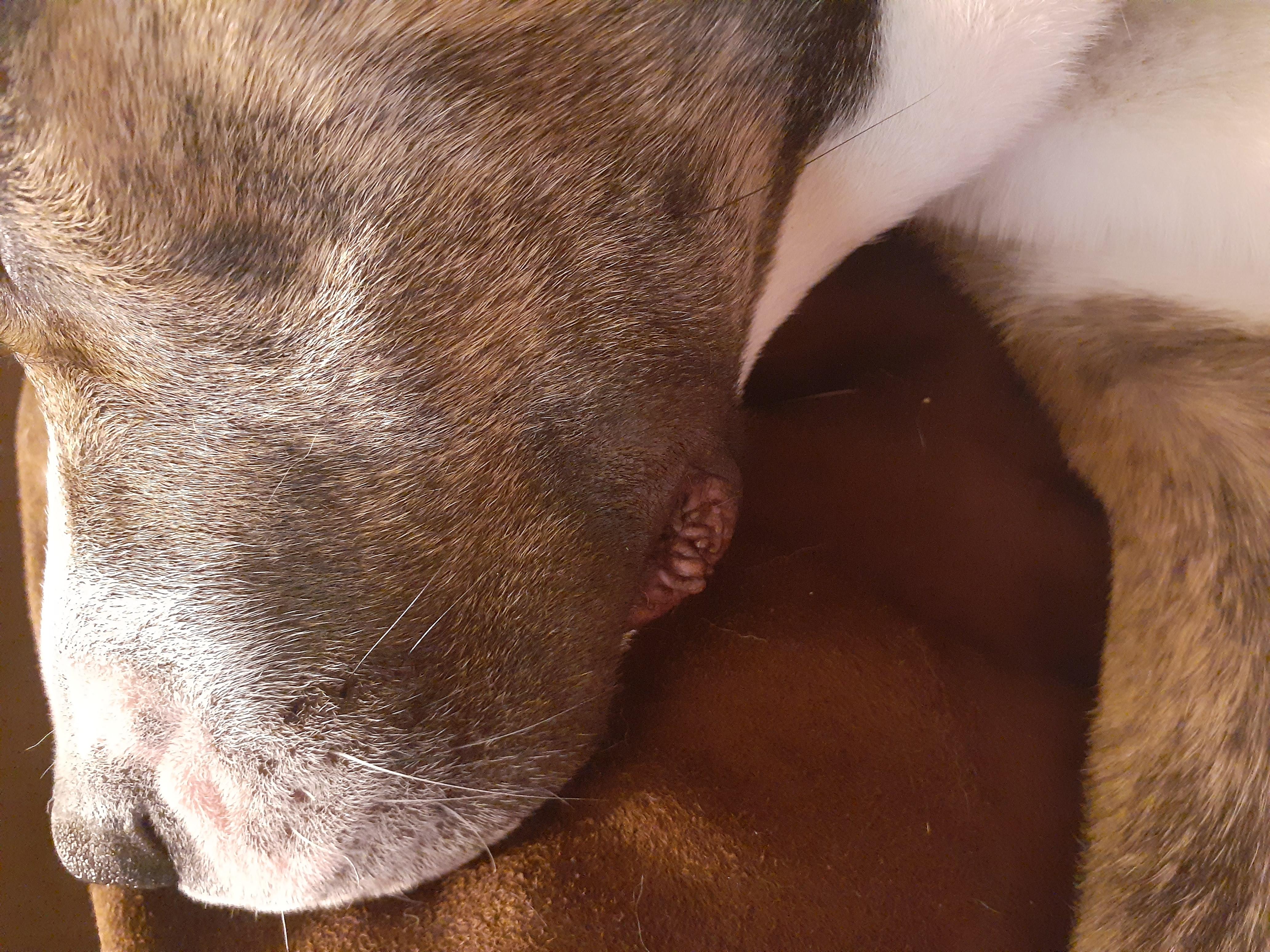 Question details sensitive content