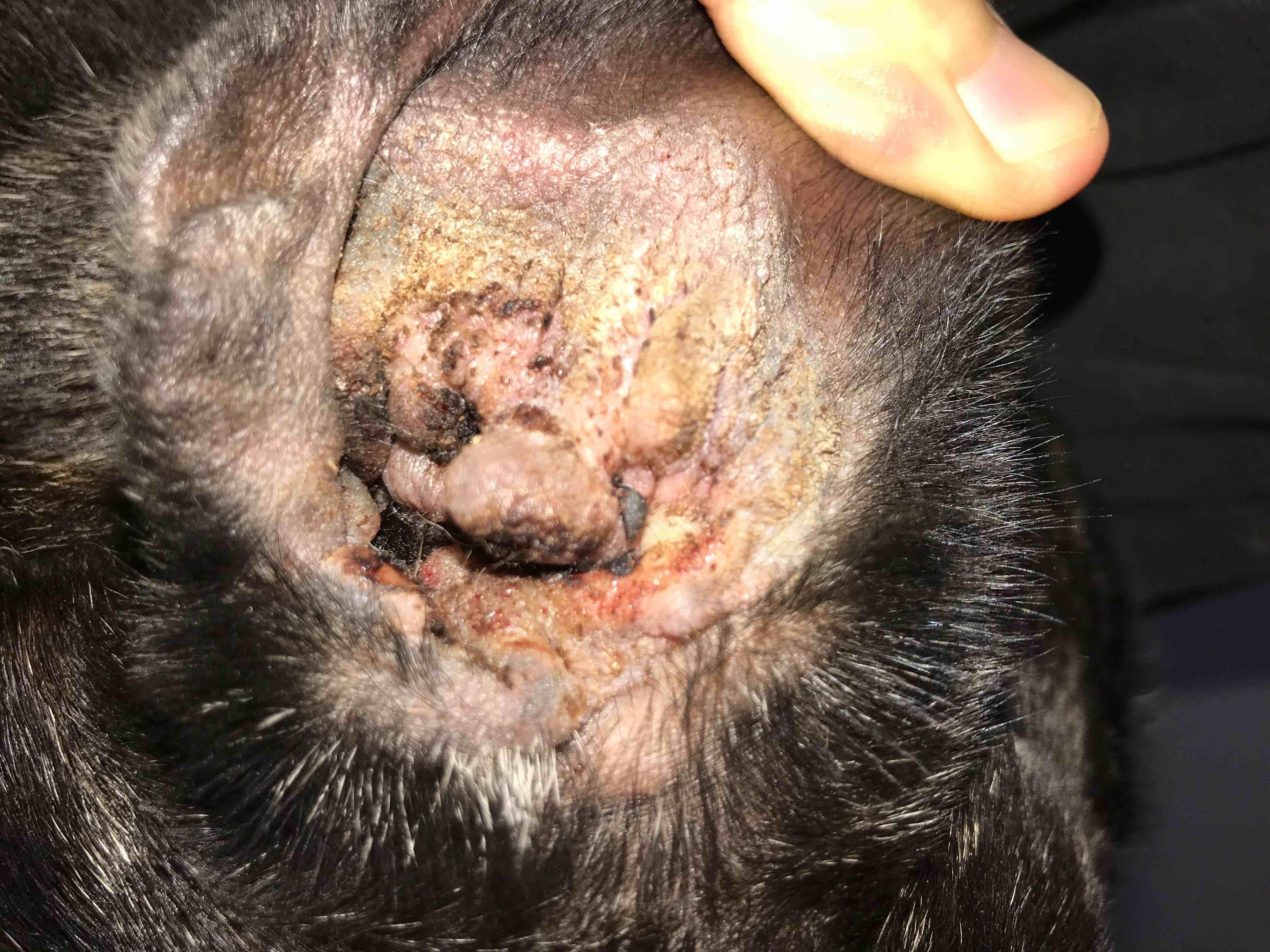 Question details sensitive content