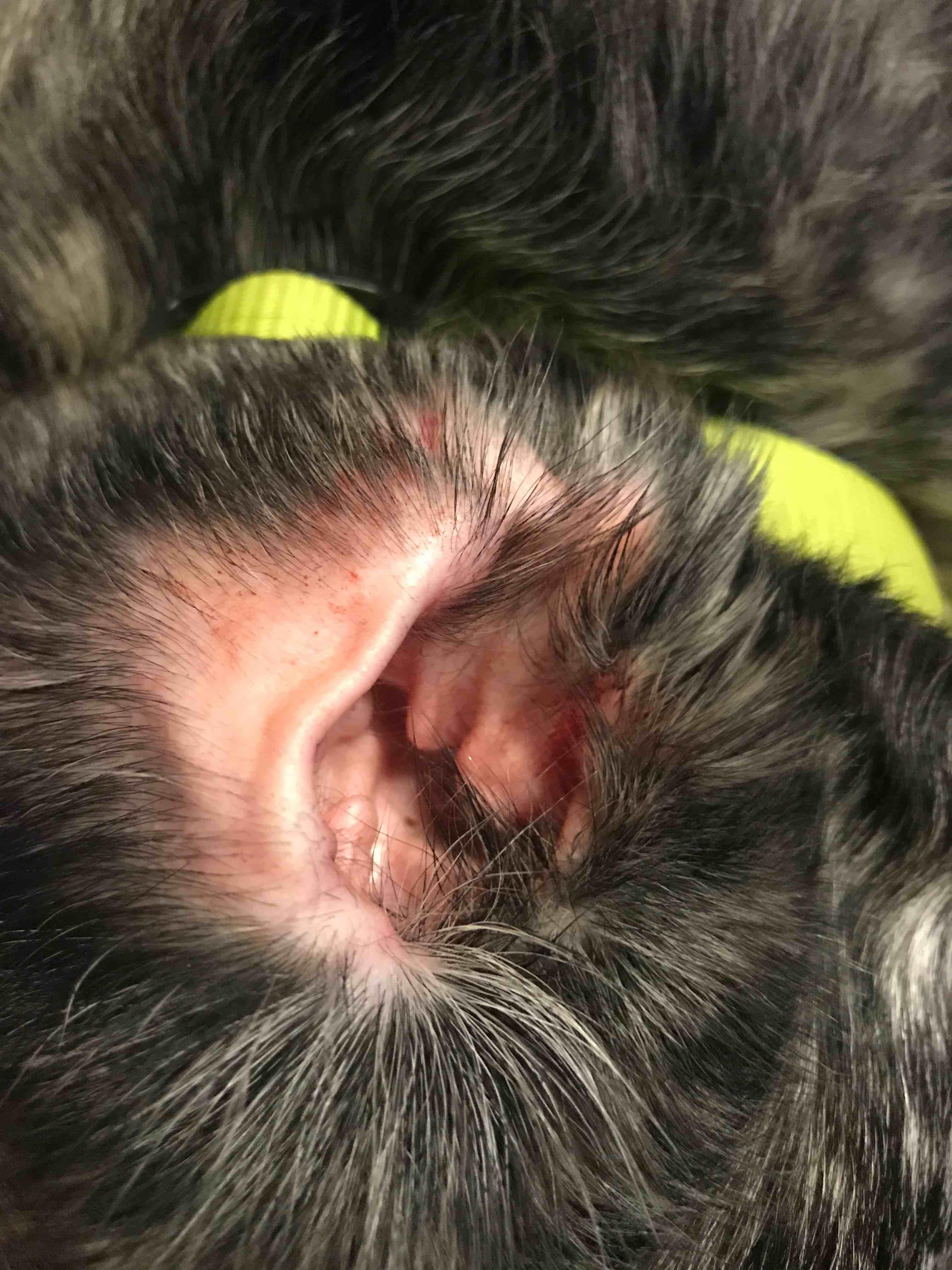 Question details sensitive content