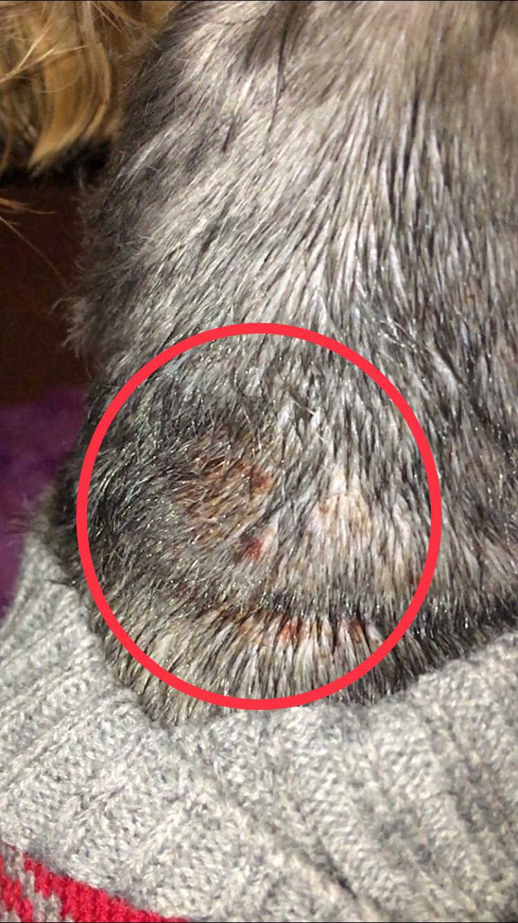 Question details sensitive content