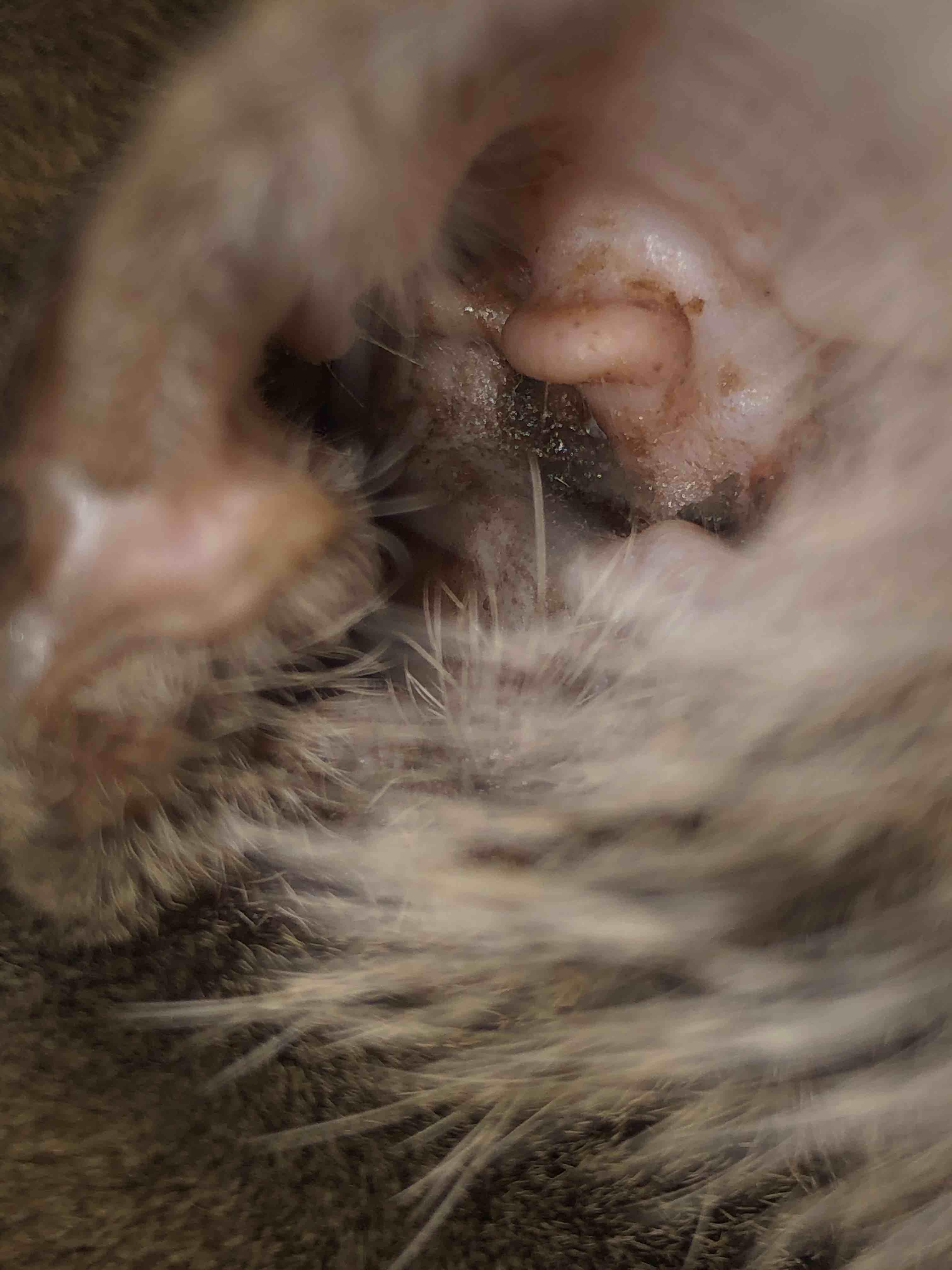 Question details sensitive content