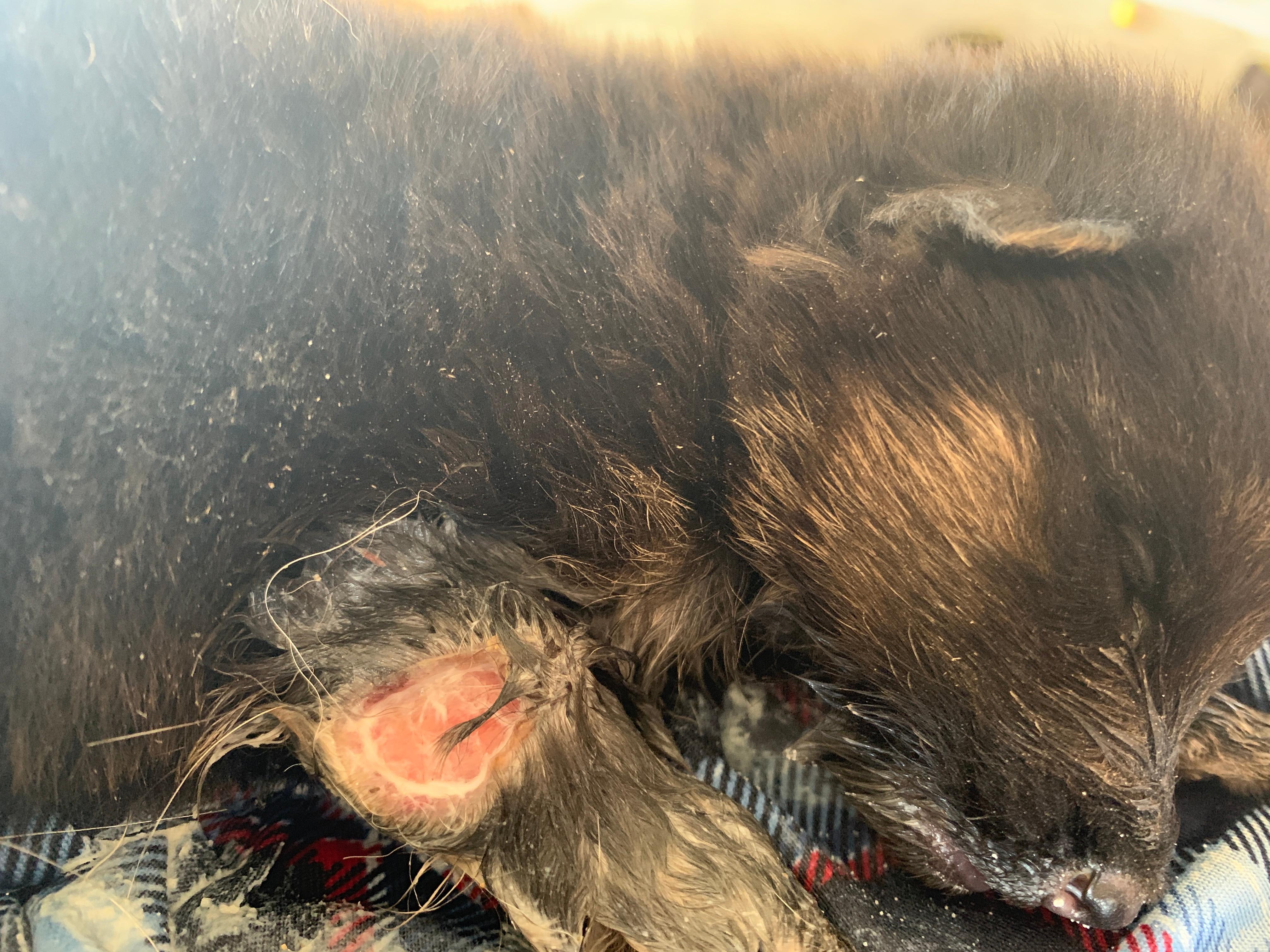 Question details sensitive content