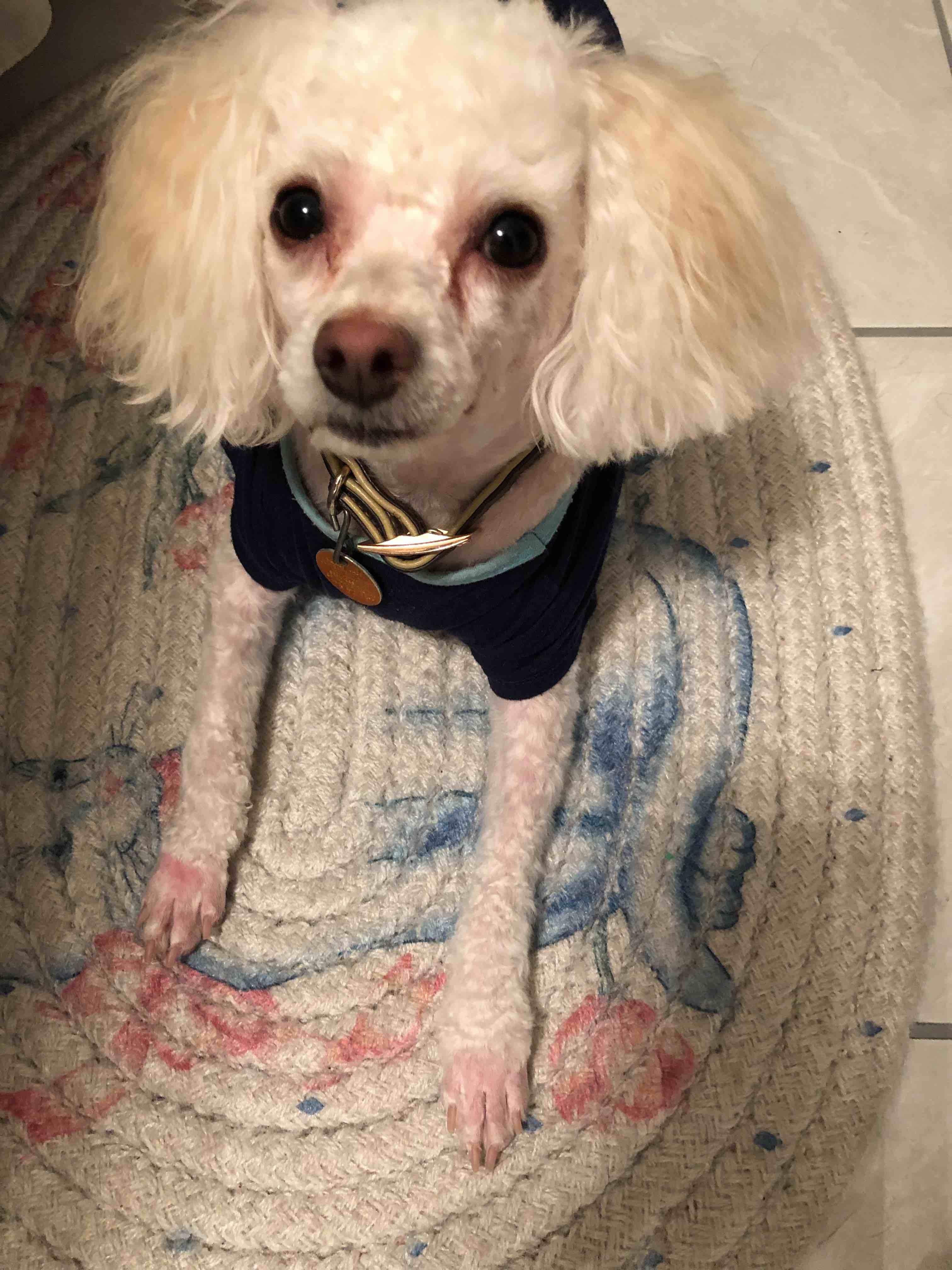 Question details sensitive content