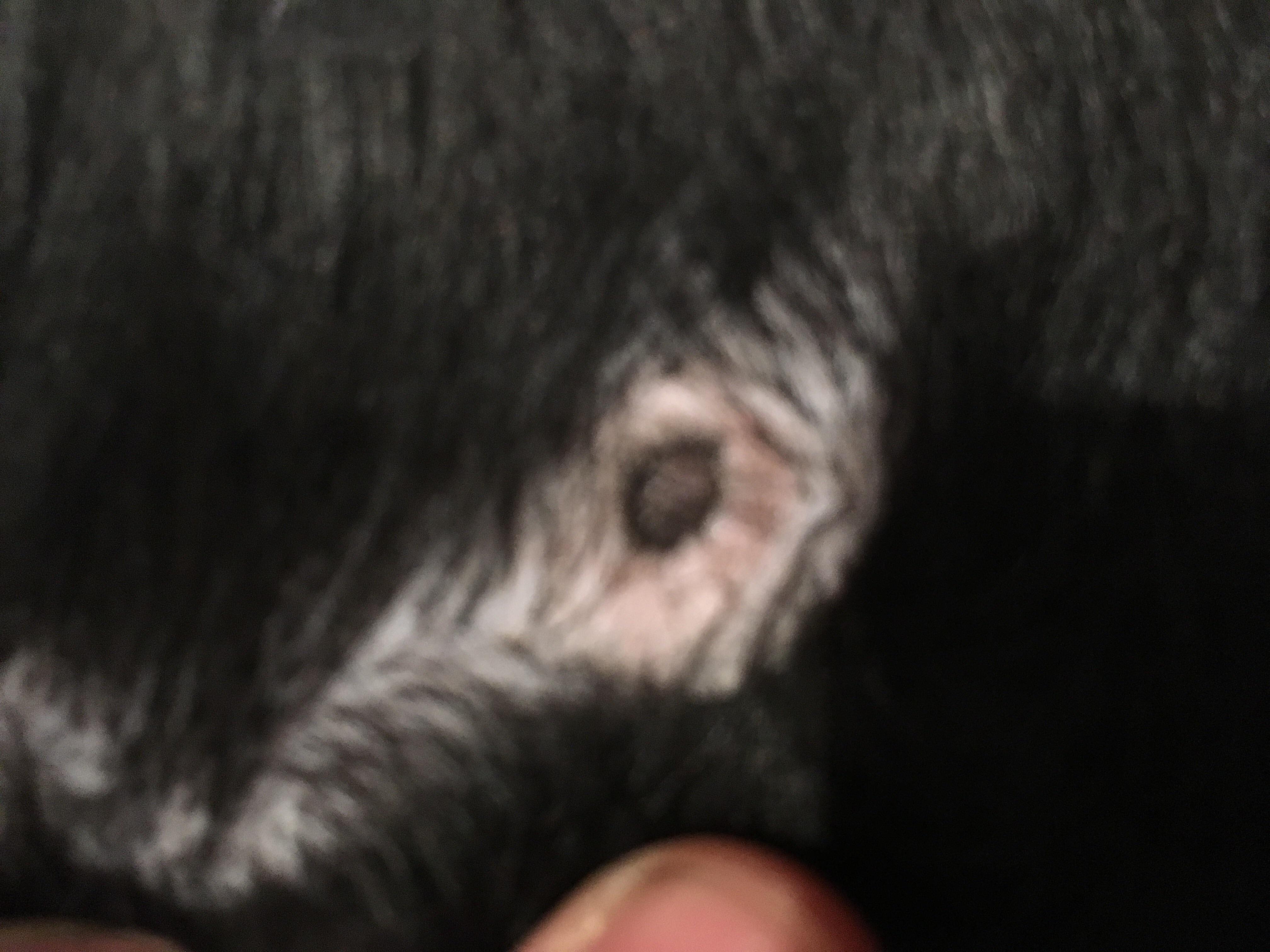 Question details sensitive content