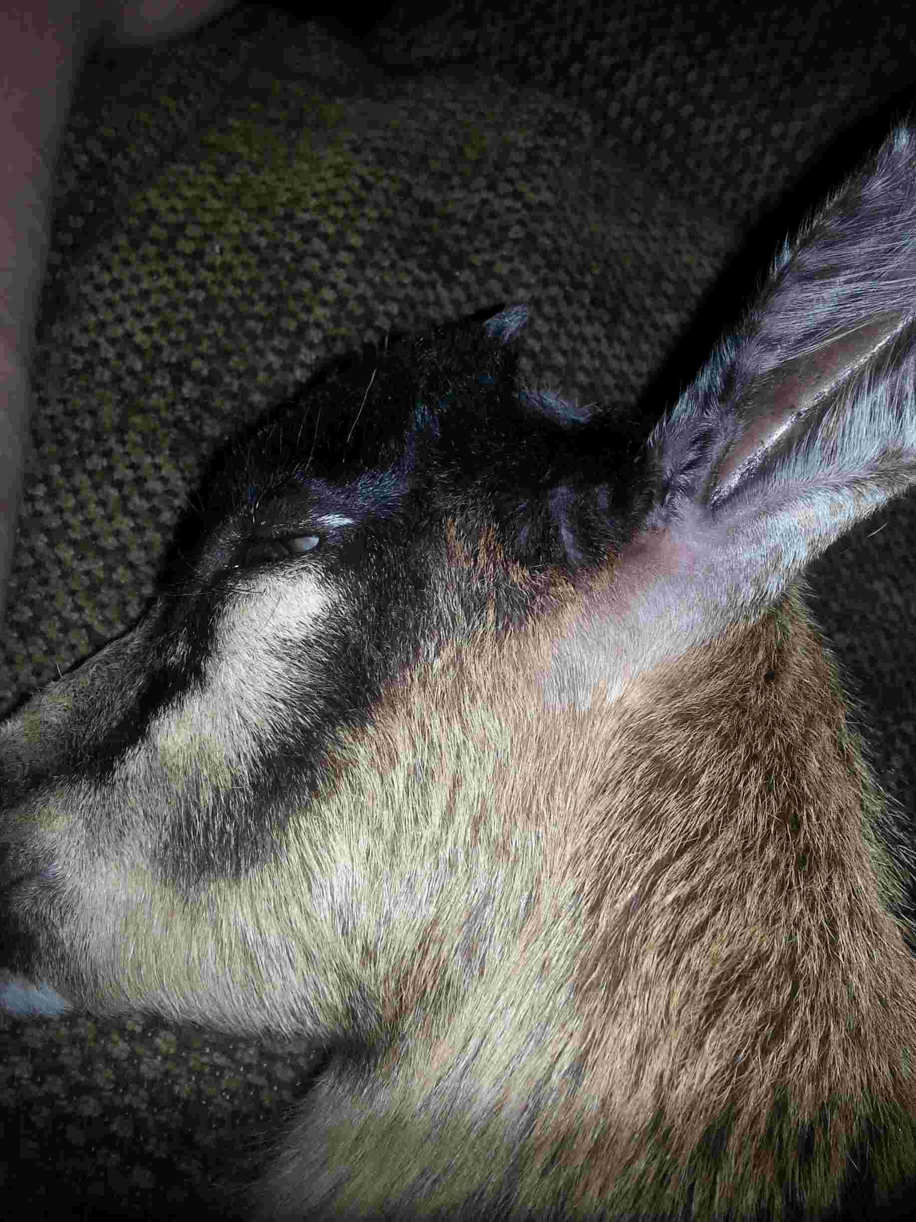 Question details sensitive content