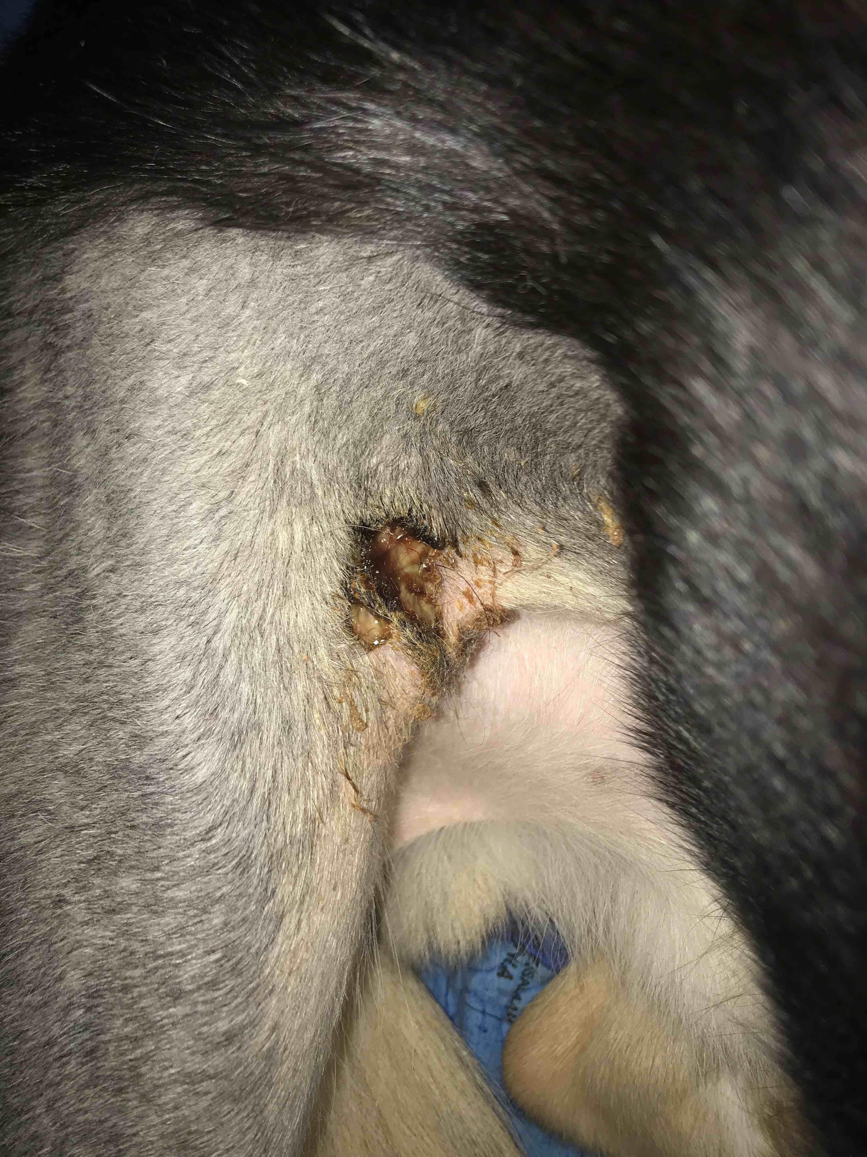 Question details sensitive content