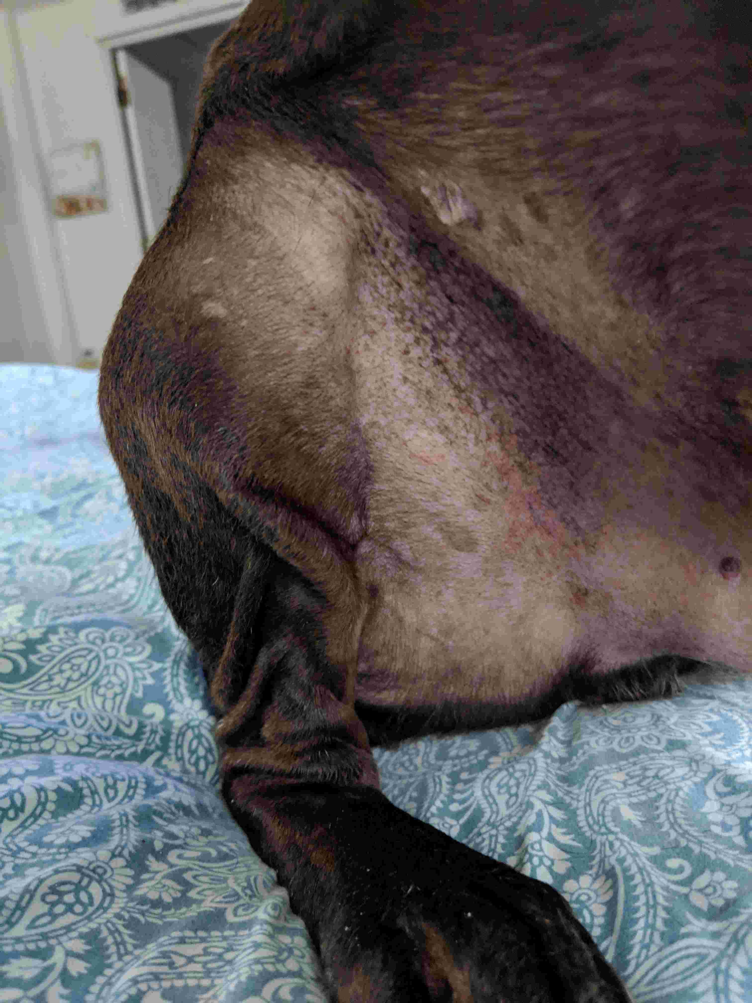 Question details sensitive content