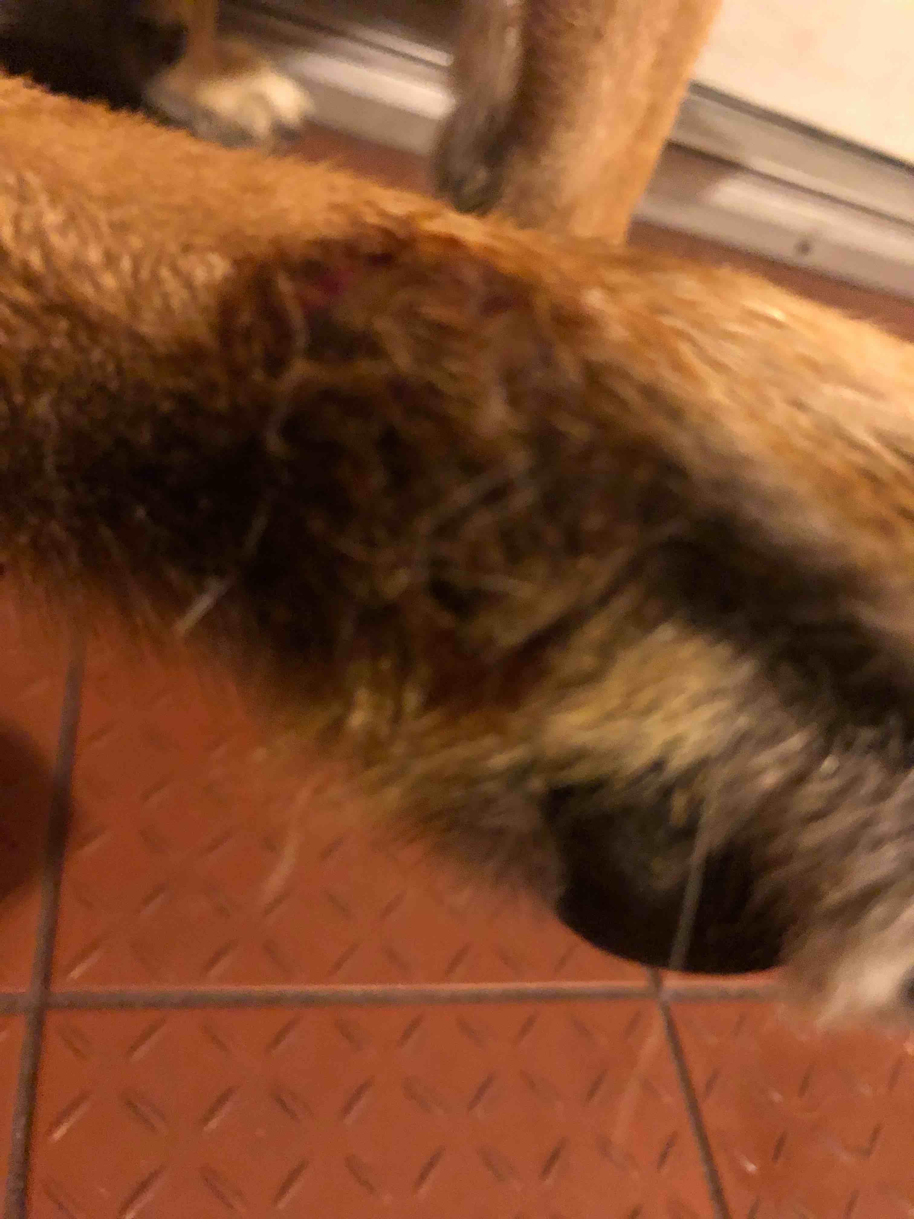 Question details sensitive content