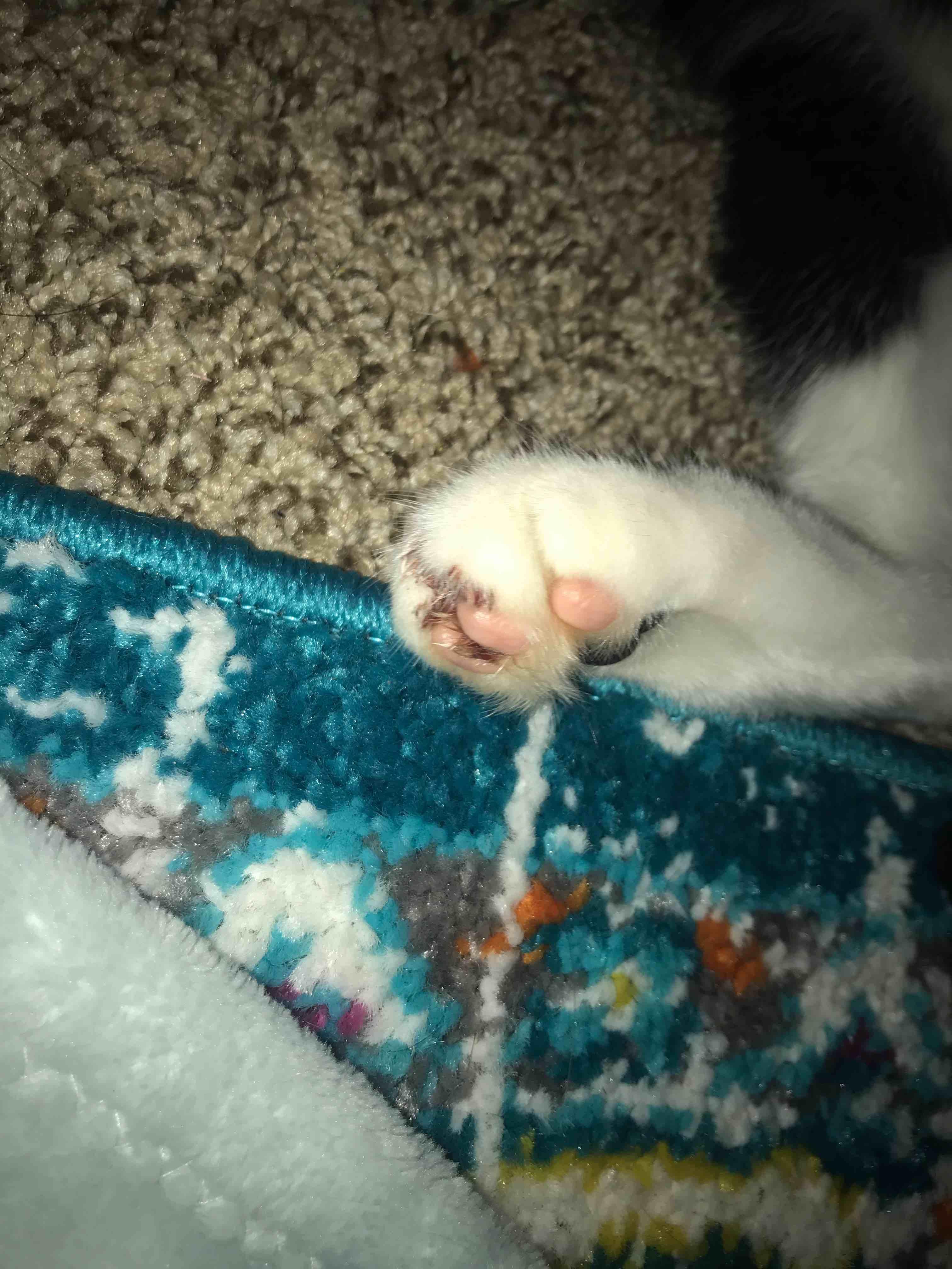 Question details sensitive content