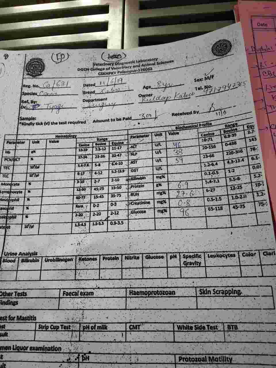 Question details sensitive content