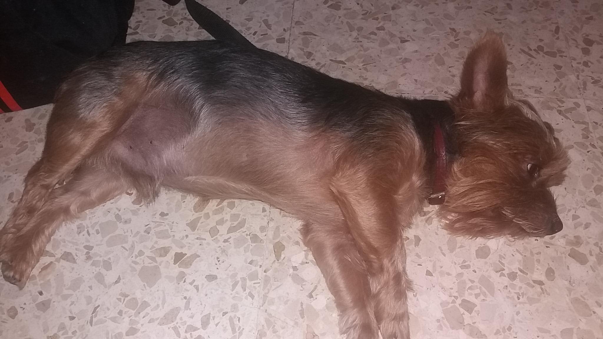 Question details sensitive content