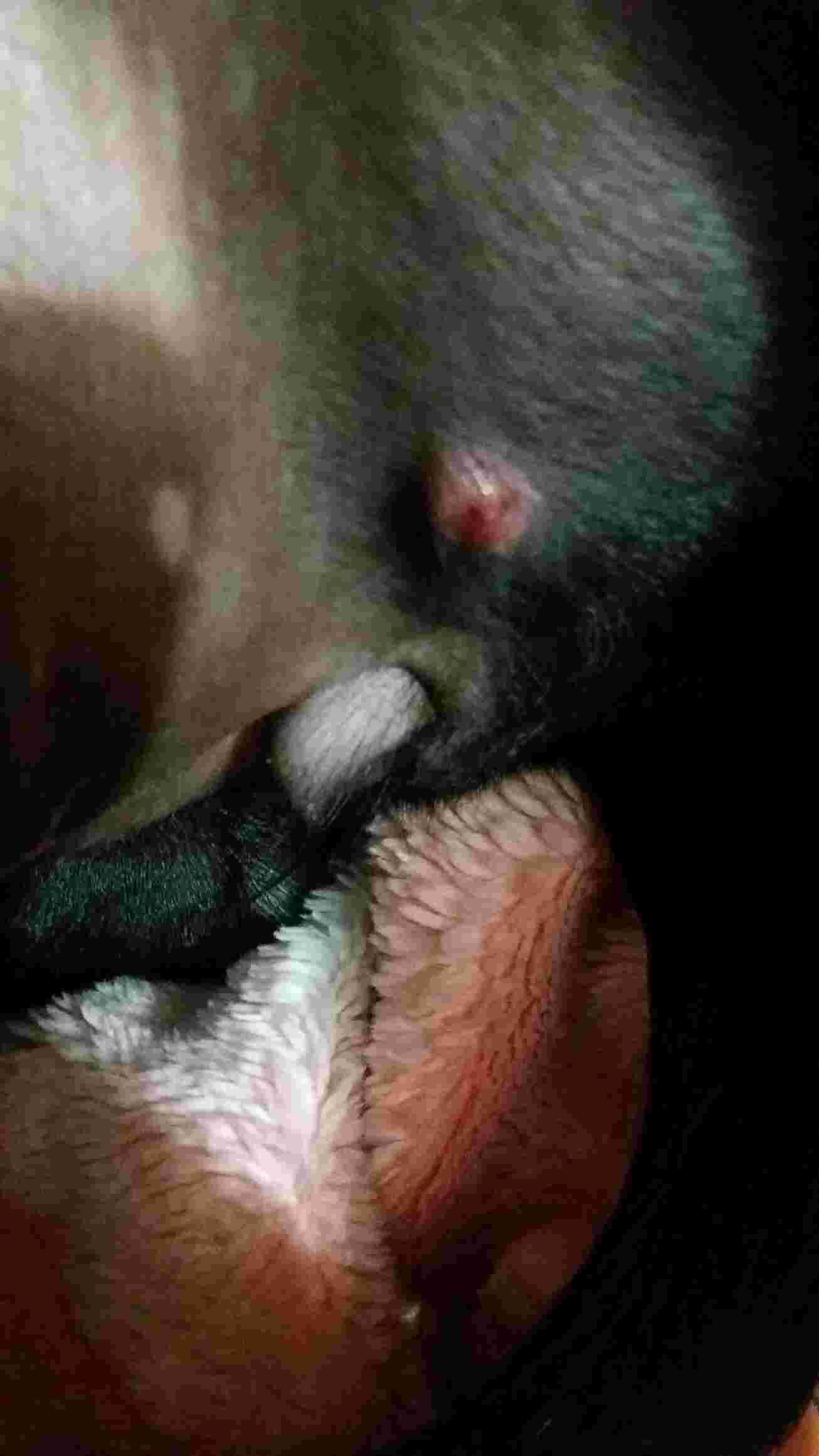 Question details sensitive content