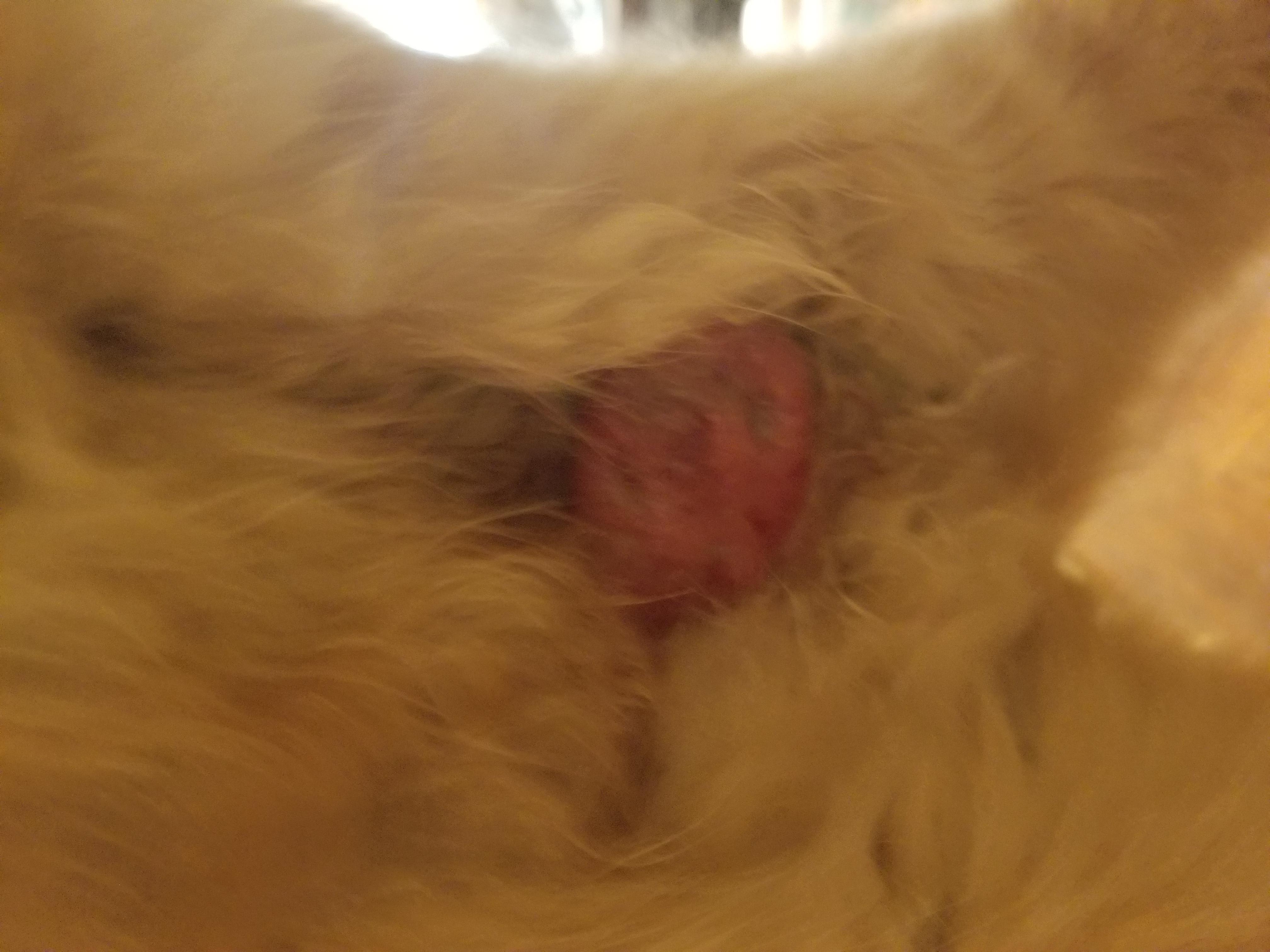 Question details sensitive content