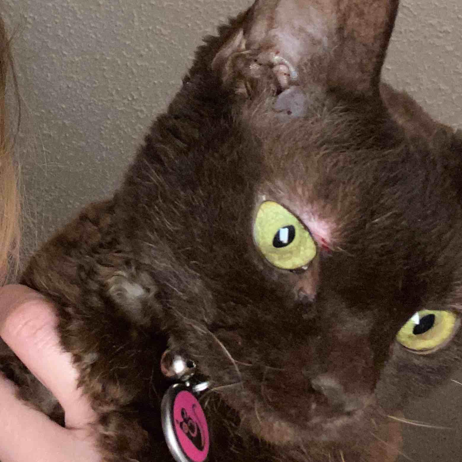 Question details sensitive content