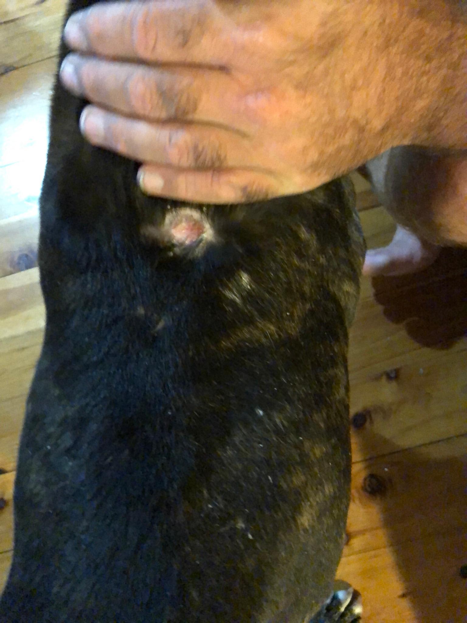 Question details sensitive content