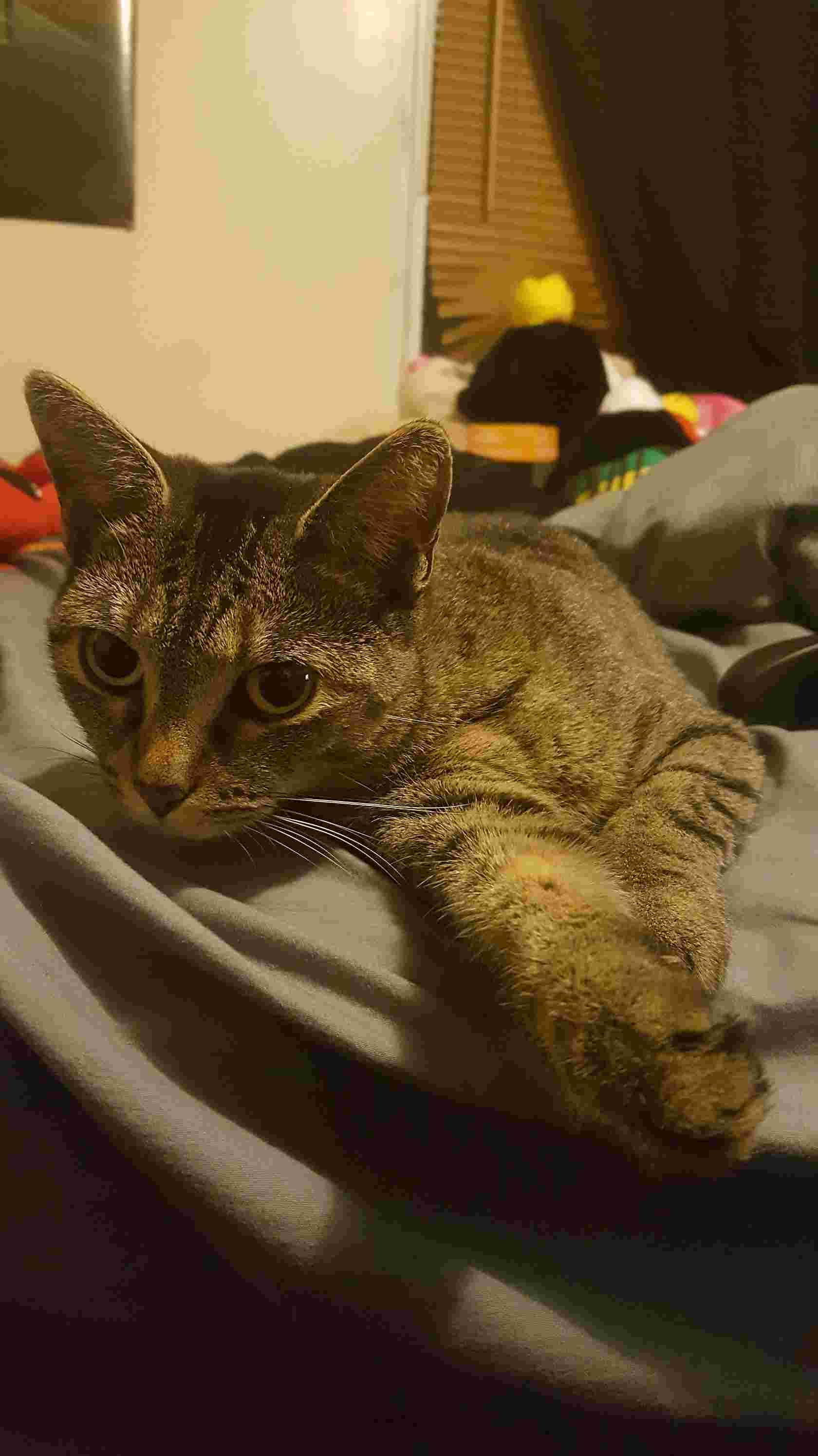 Question details sensitive content