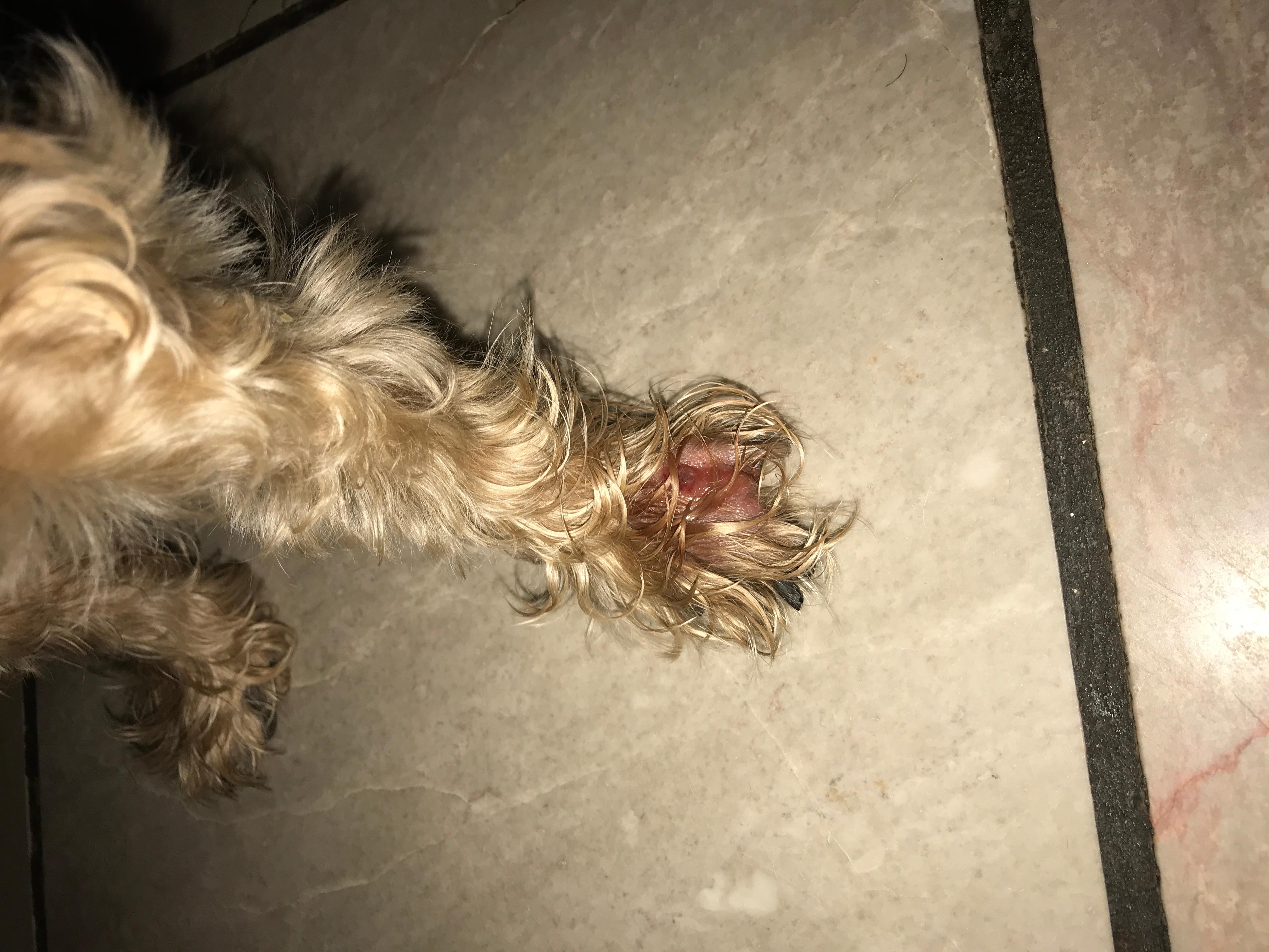 Question details sensitive content