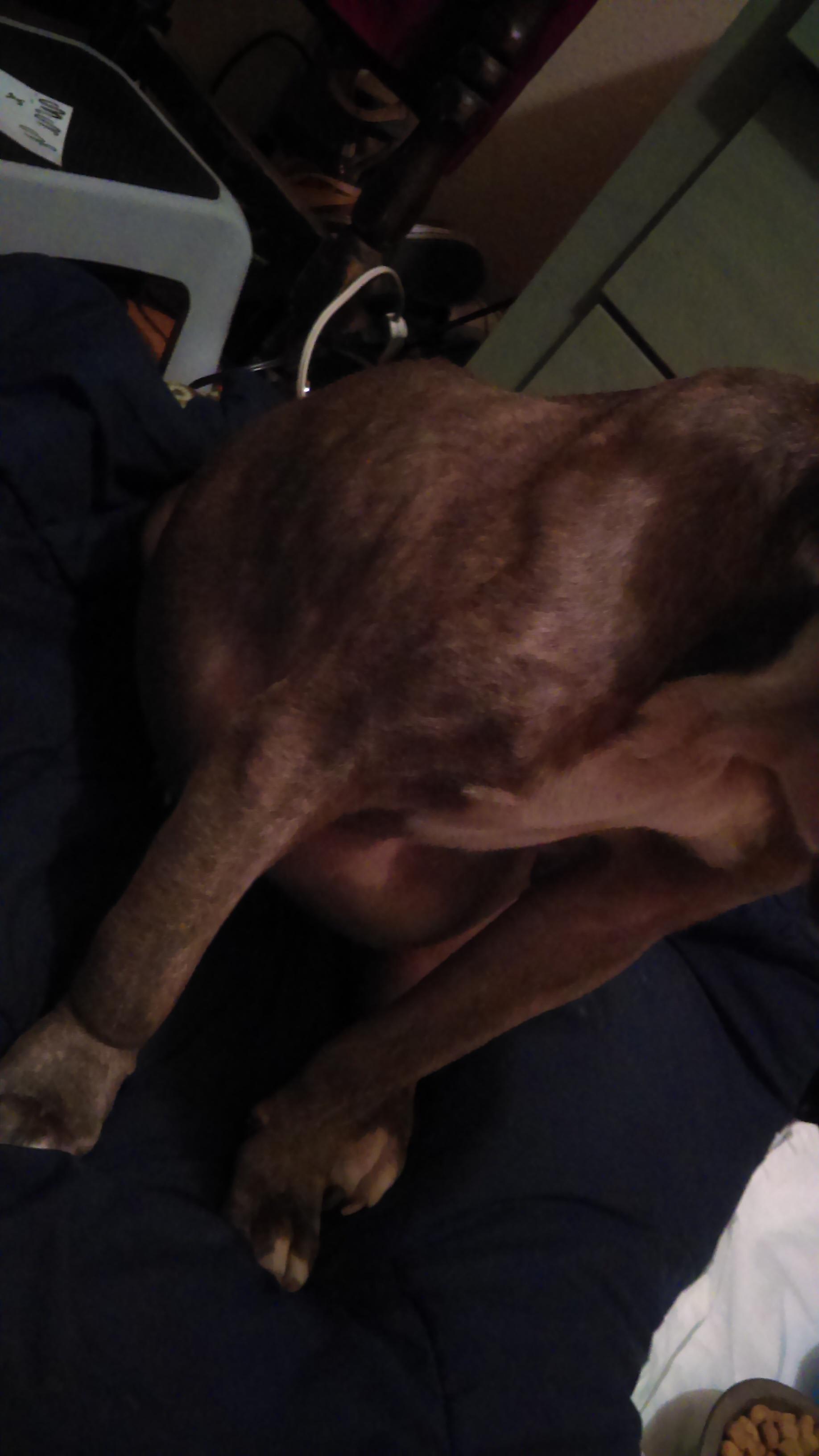 Question details sensitive content