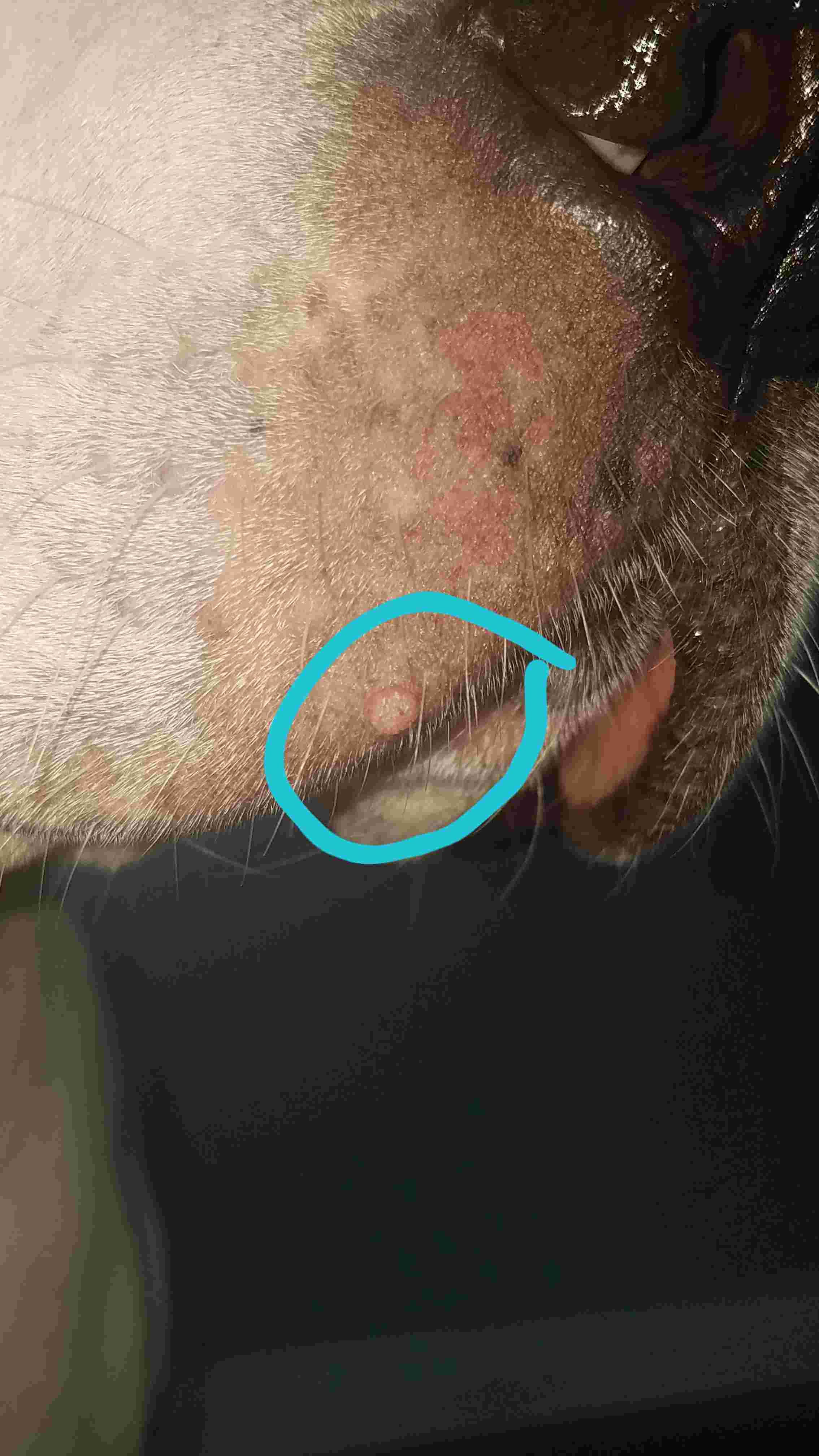 Question details sensitive content